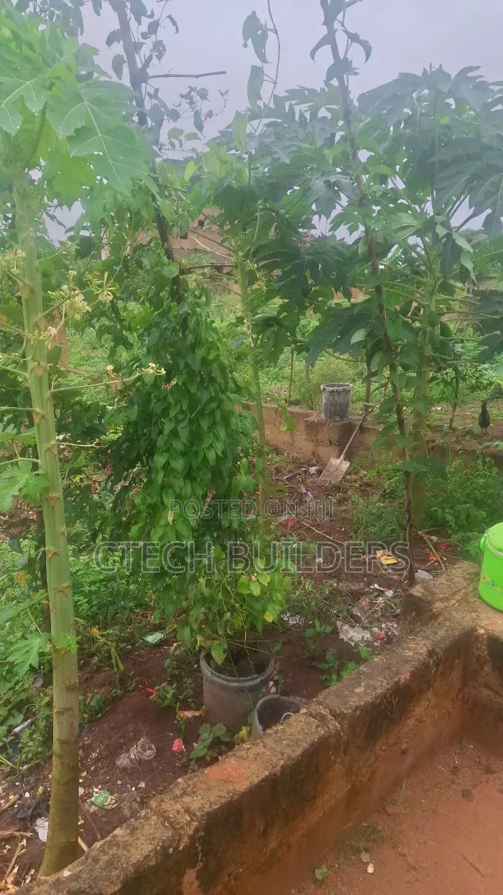 Property for Sale in Benin City