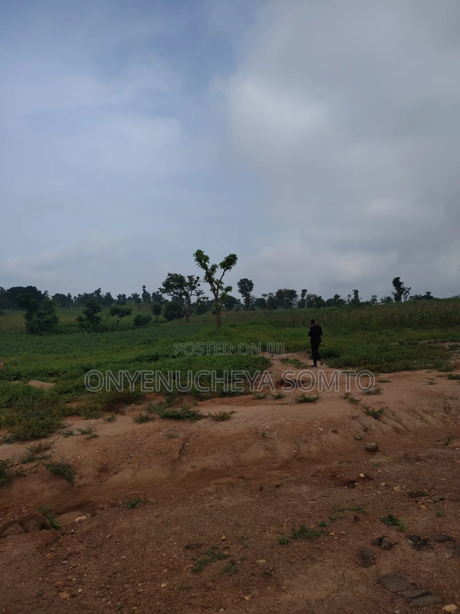 250SQM Estate Residential Land With R of O in Wasa