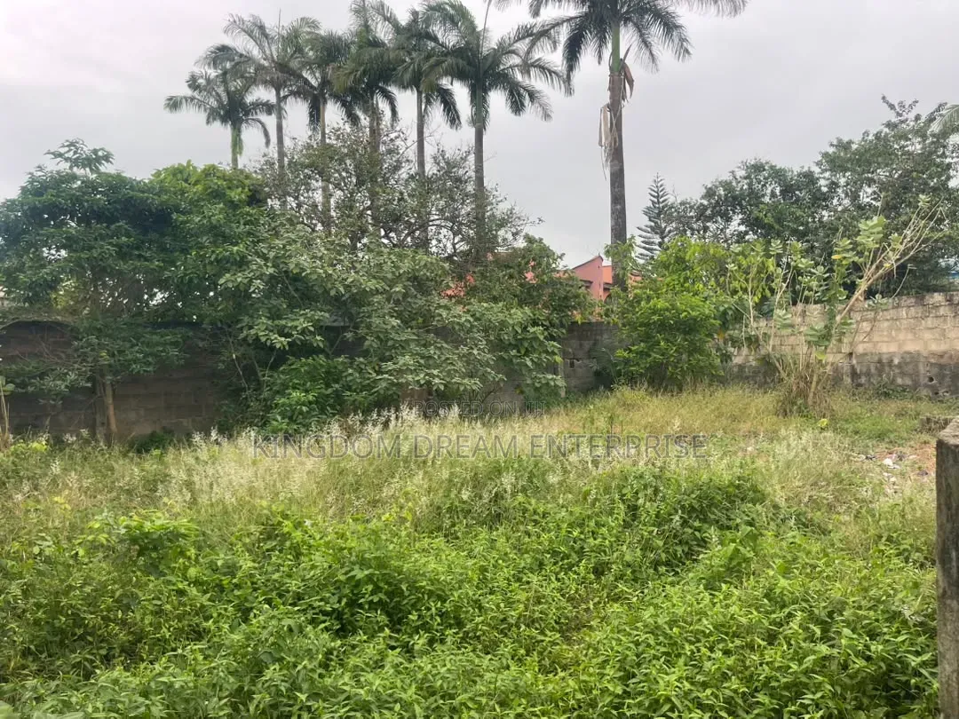 376.699Sqm Land Off Clem Road Ojokoro Abulegba Lagos State Nigeria in Abule Egba