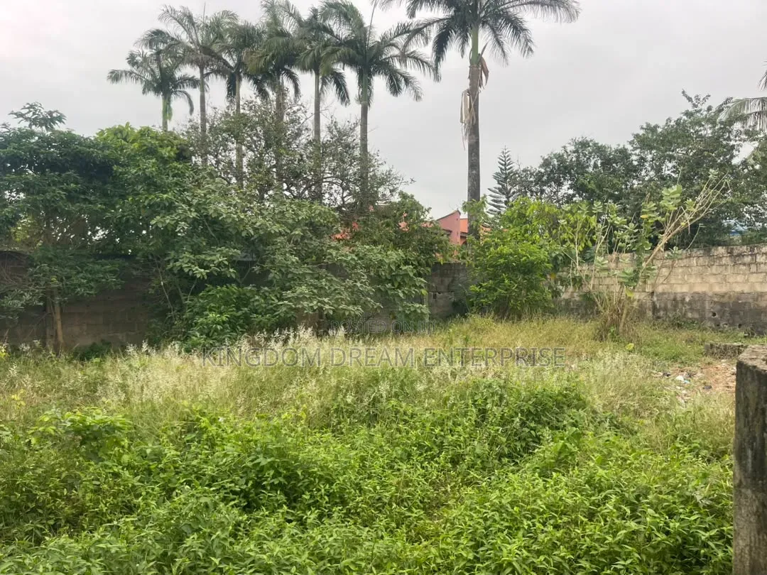 376.699Sqm Land Off Clem Road Ojokoro Abulegba Lagos State Nigeria in Abule Egba
