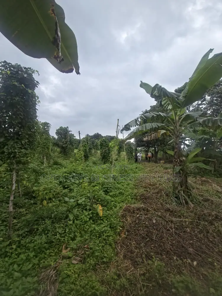 60 Acres of Land in Ido