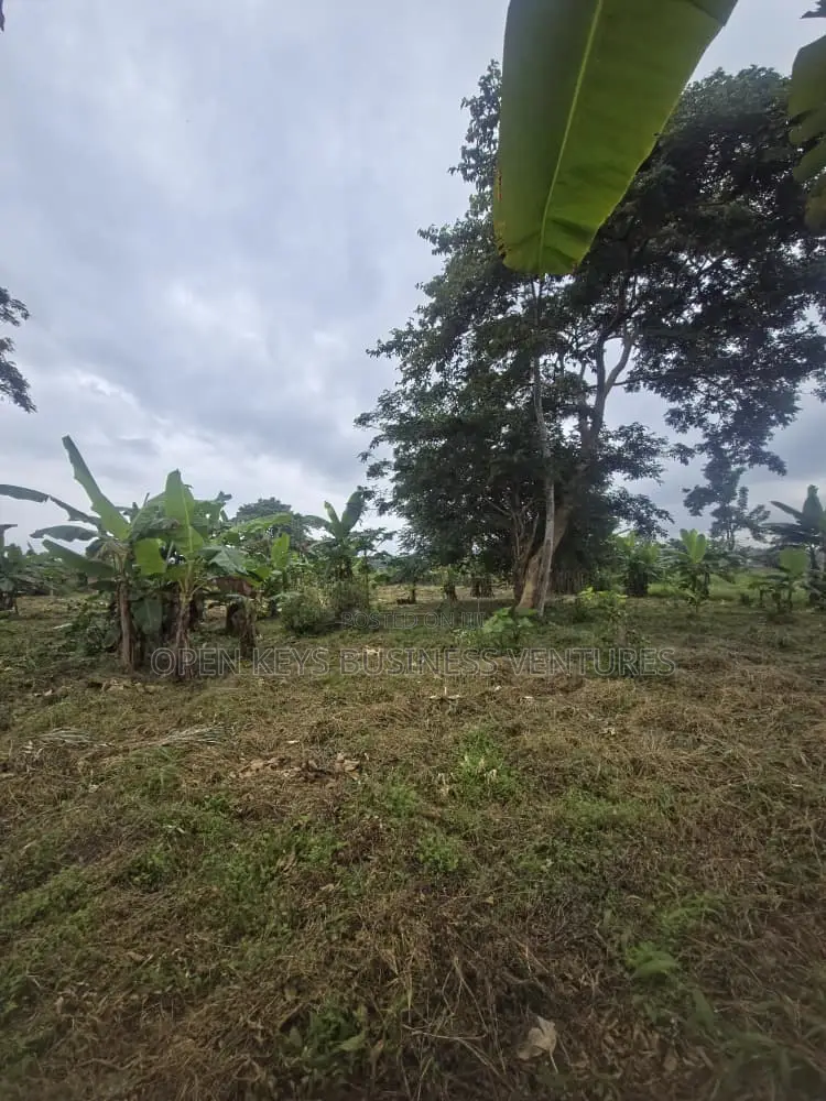 60 Acres of Land in Ido