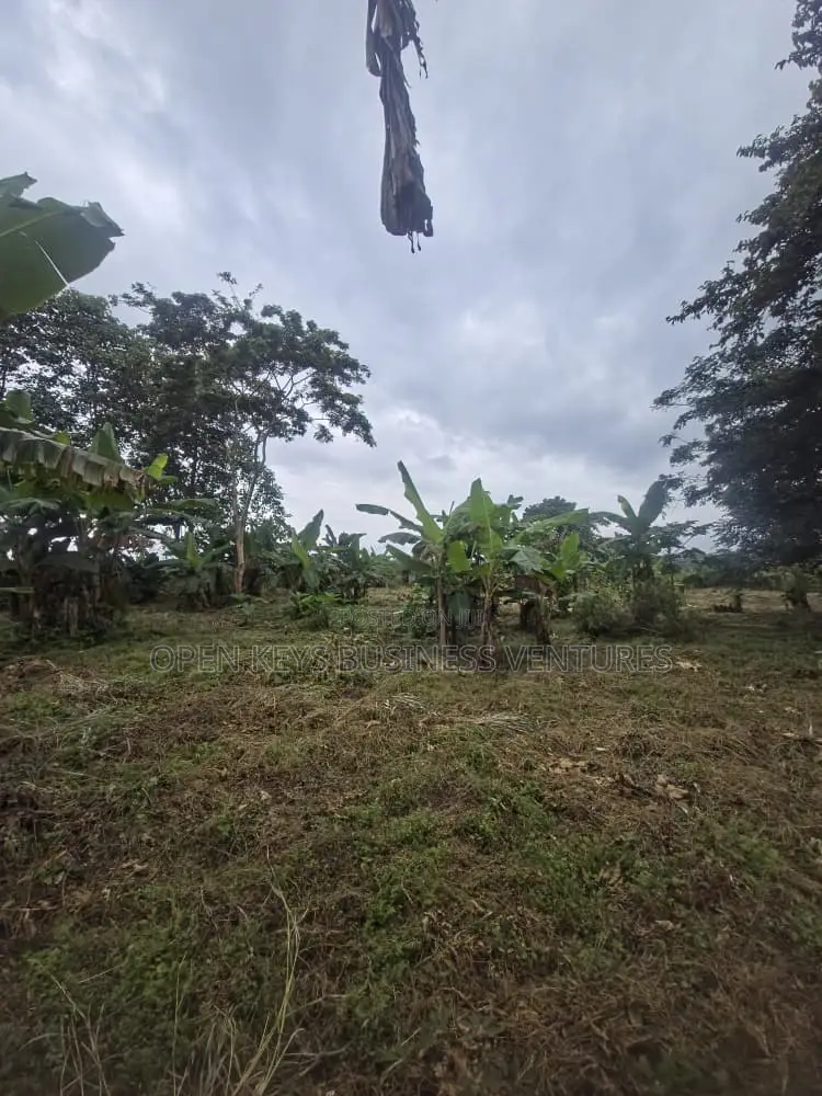 60 Acres of Land in Ido