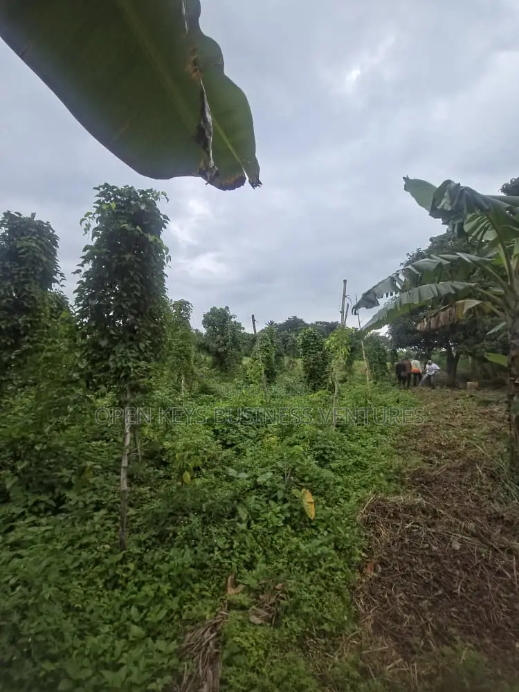 60 Acres of Land in Ido