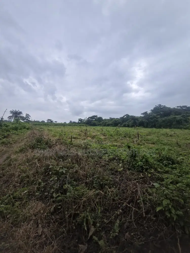 60 Acres of Land in Ido