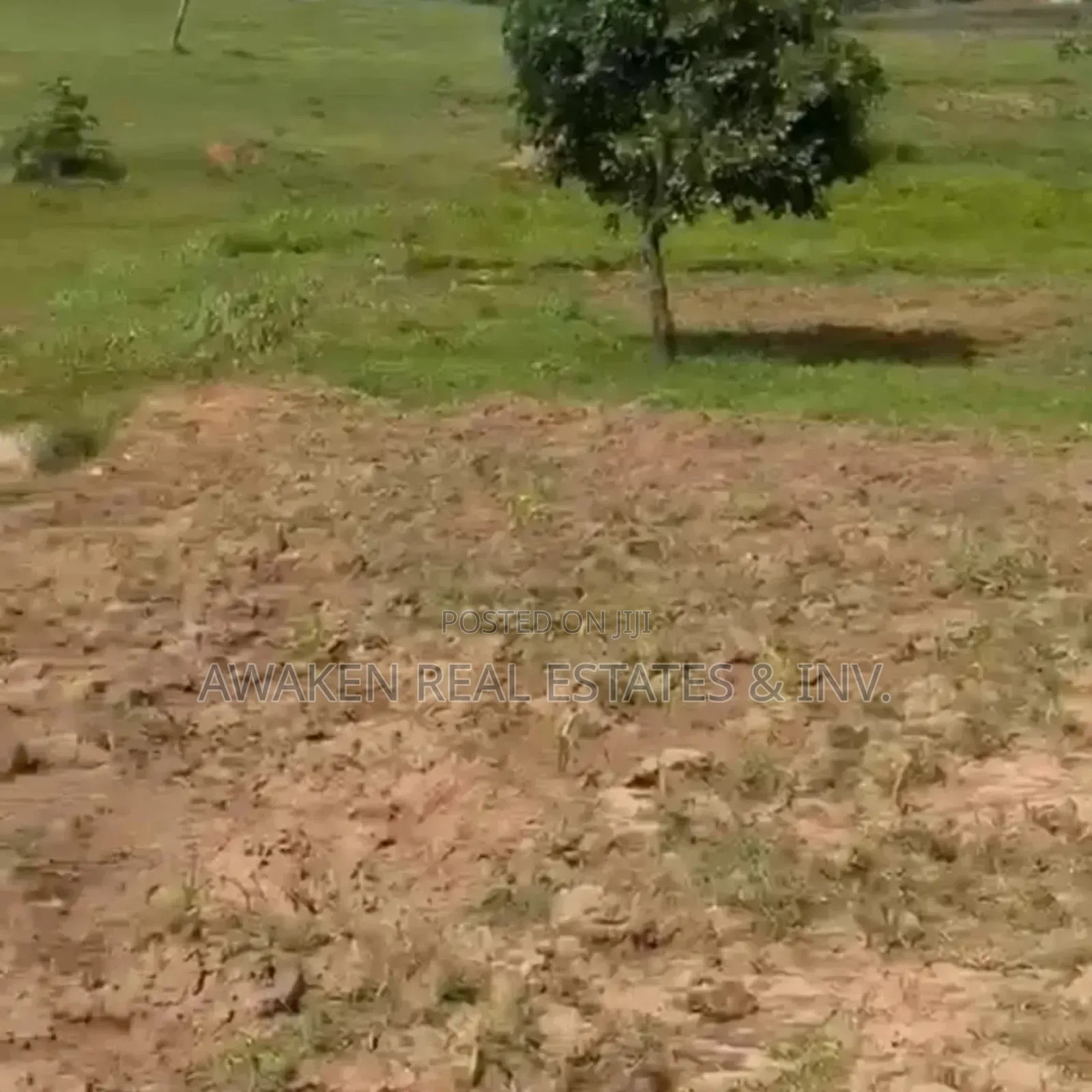 100.98 Hectares for Sale in Idu