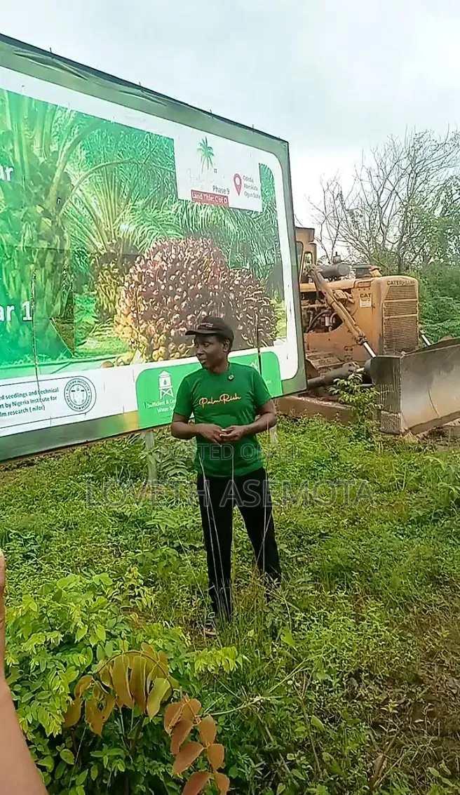 Acre Oil Palmrich Phase 9 in Odeda, Ogun State in Odeda