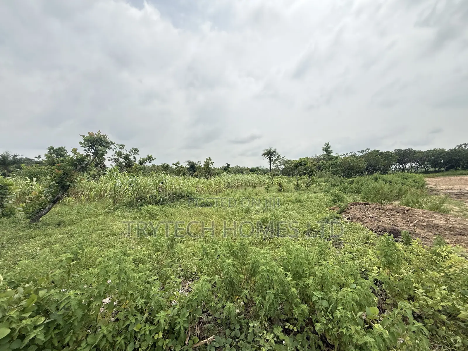 FCDA Approval in Bunkoro