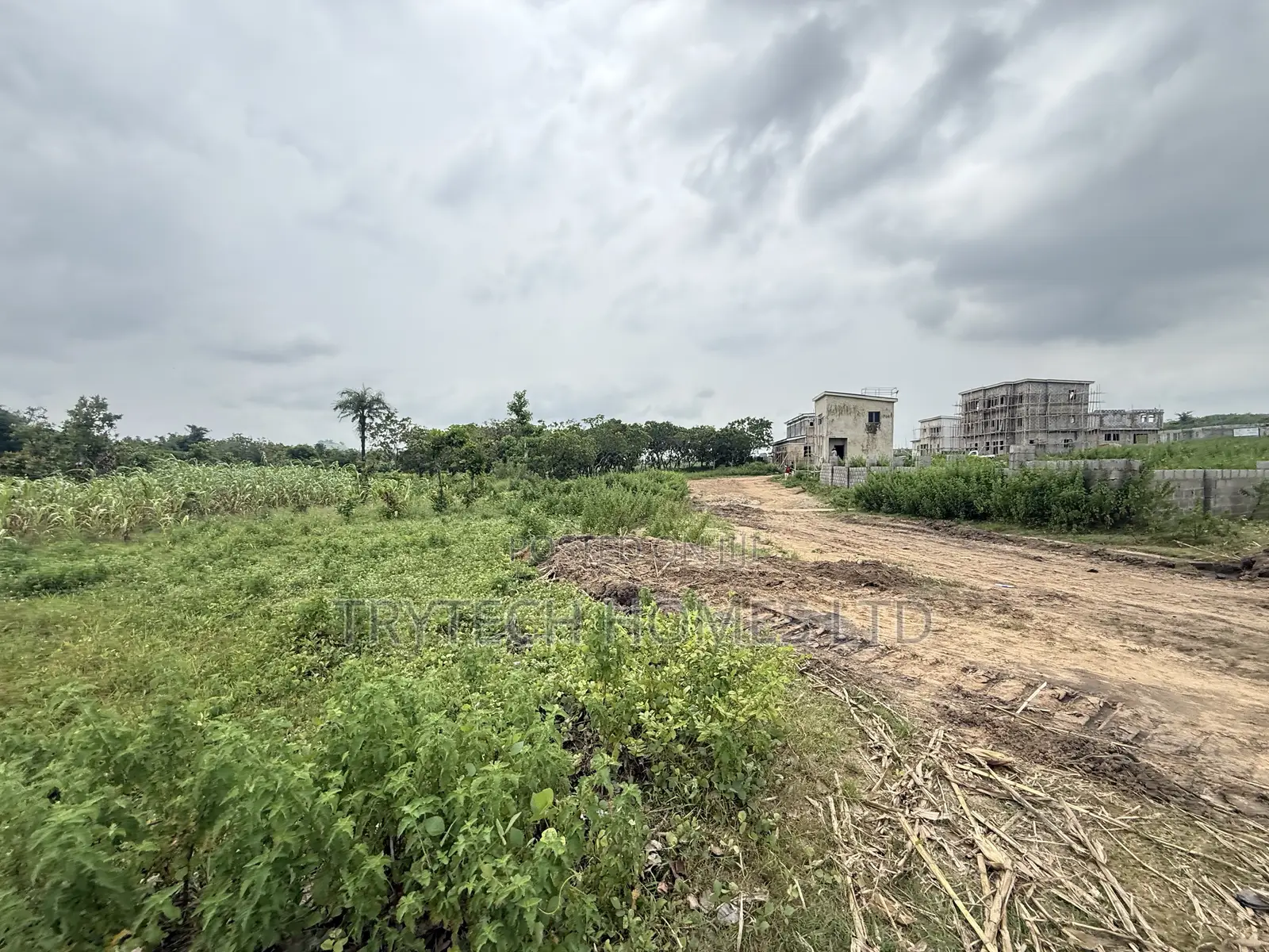 FCDA Approval in Bunkoro