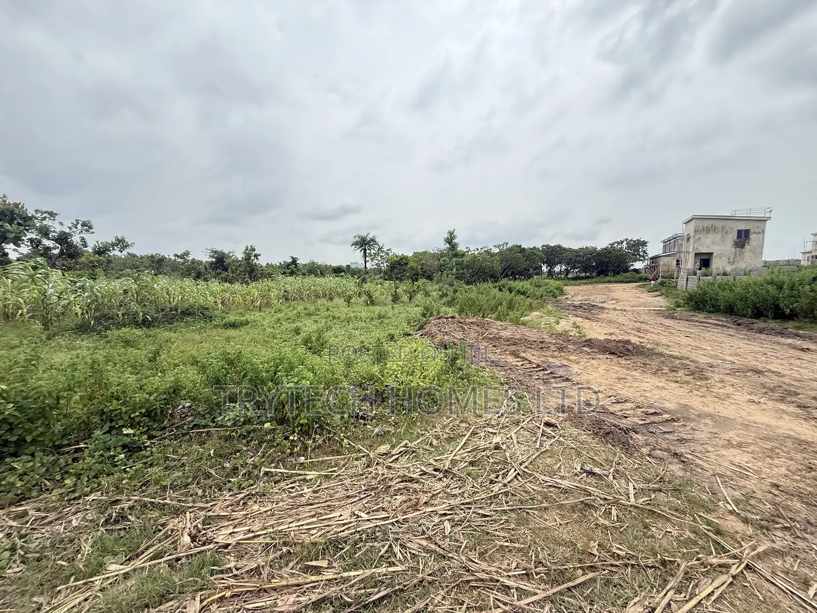 FCDA Approval in Bunkoro