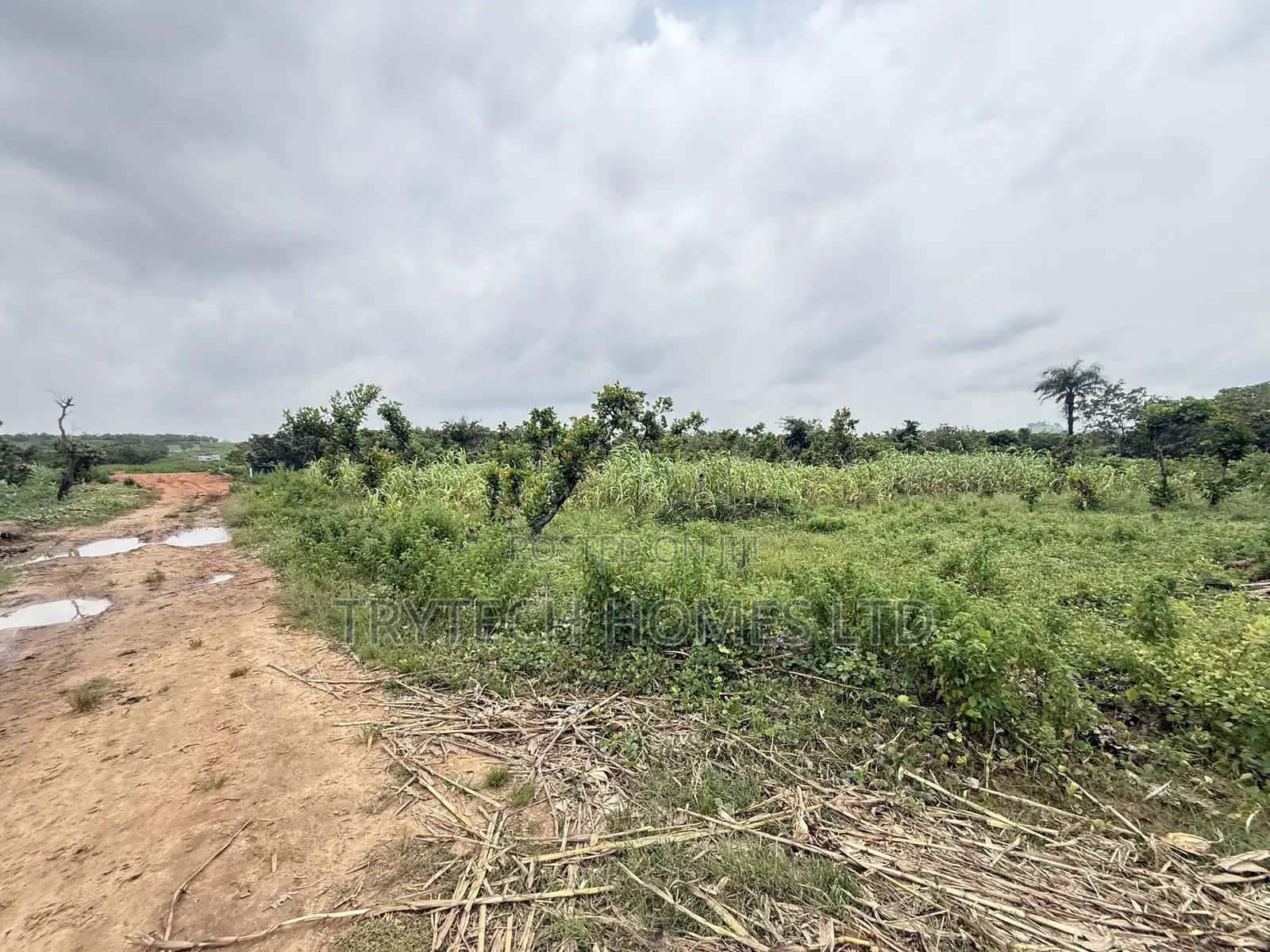 FCDA Approval in Bunkoro