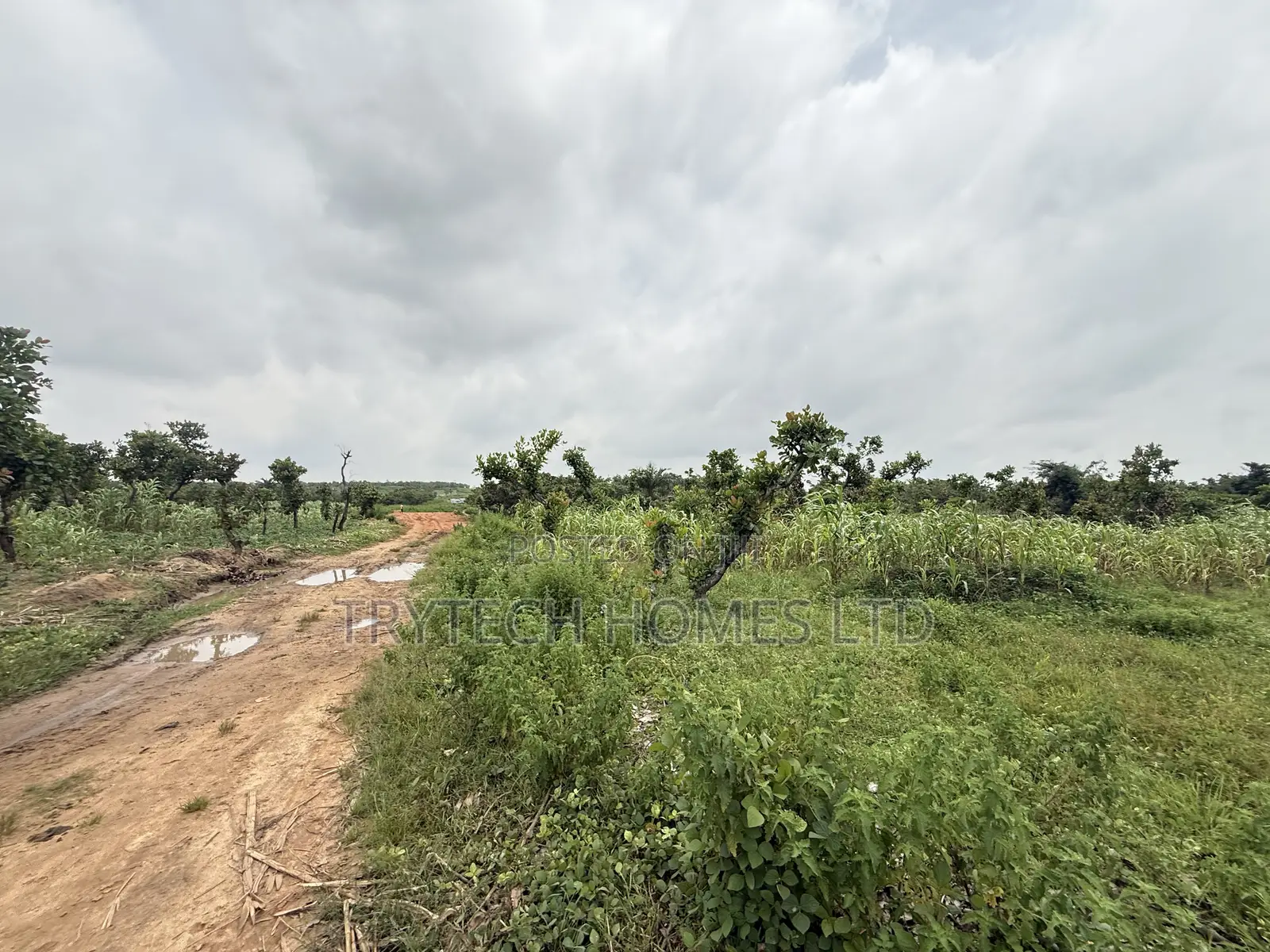 FCDA Approval in Bunkoro