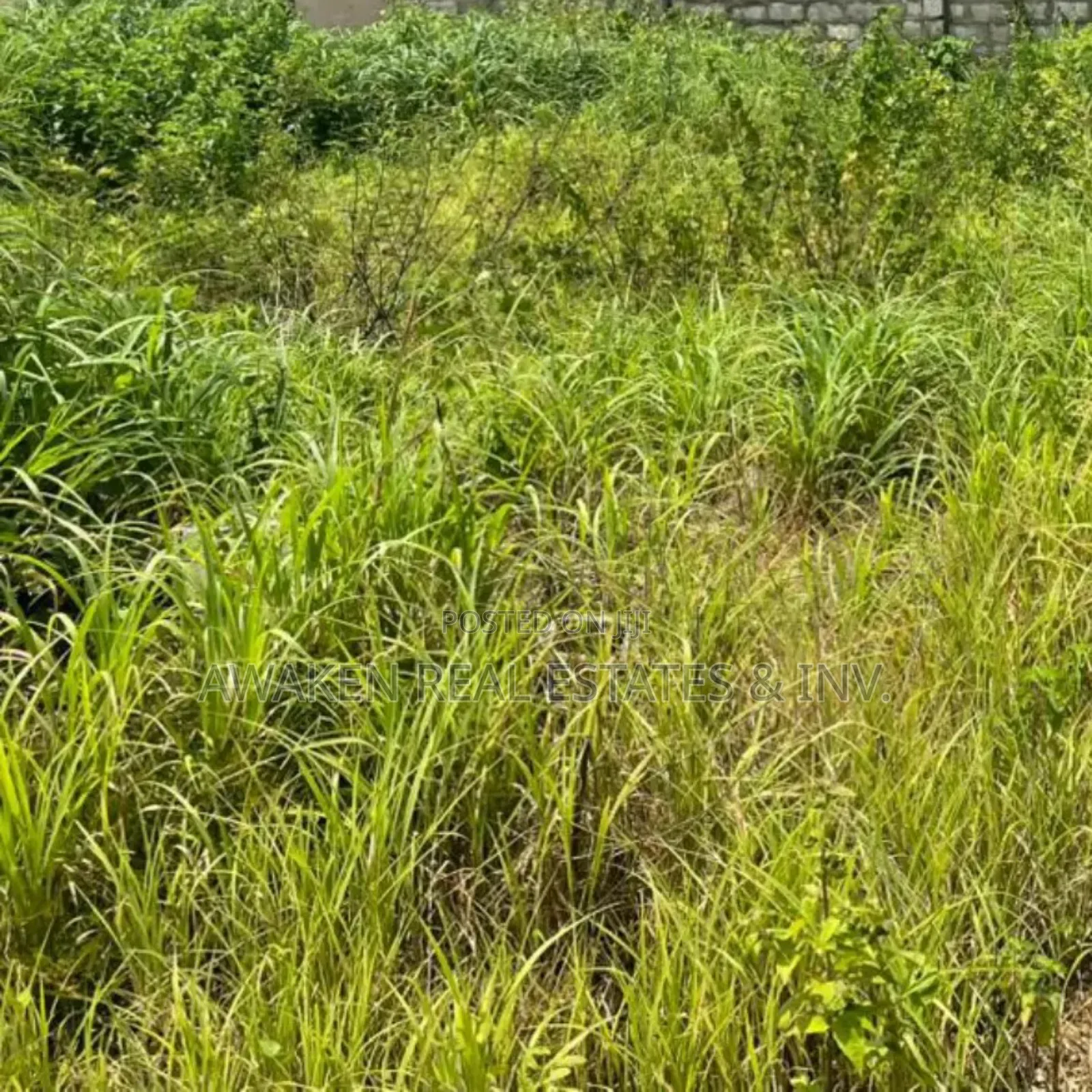 100.98 Hectares for Sale in Idu