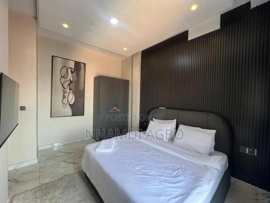 Furnished 2bdrm Apartment in Lekki Phase 1 for rent in Lekki Phase 1