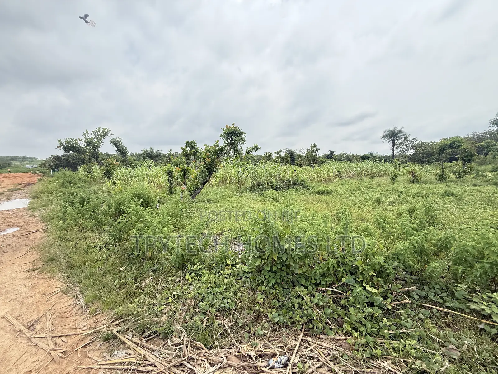 FCDA CofO Approval in Dape