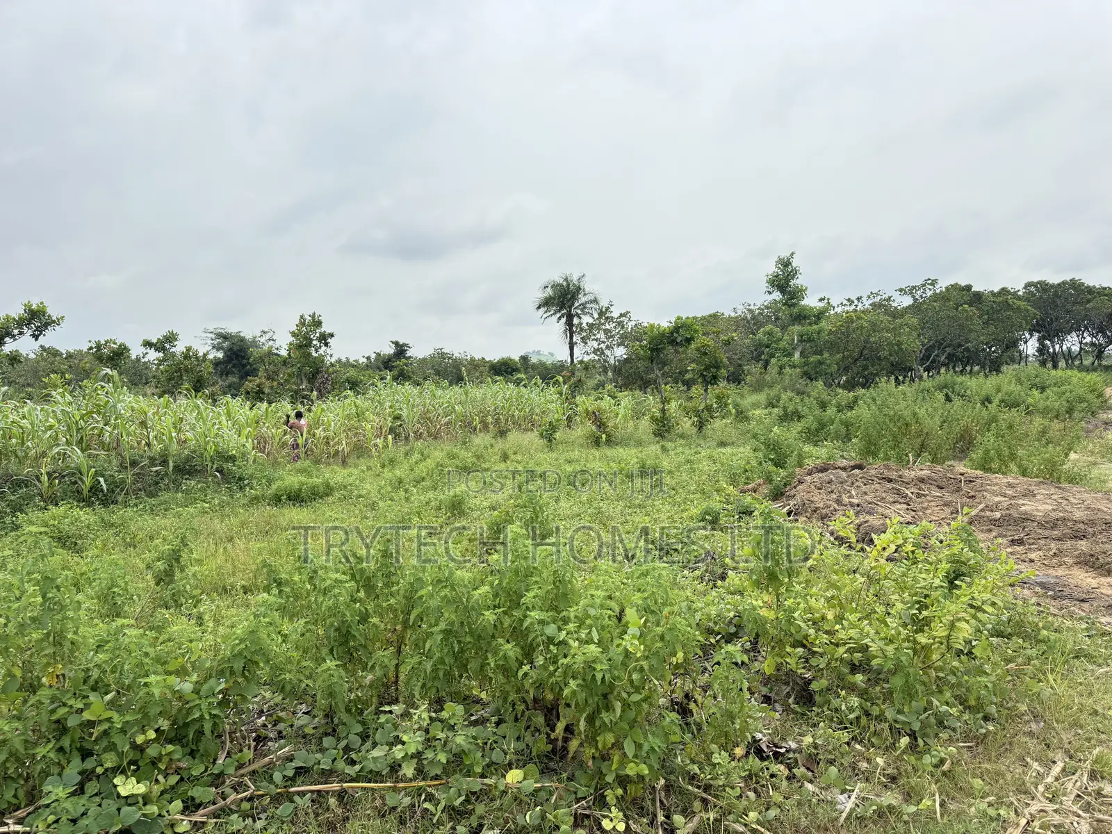 FCDA CofO Approval in Dape