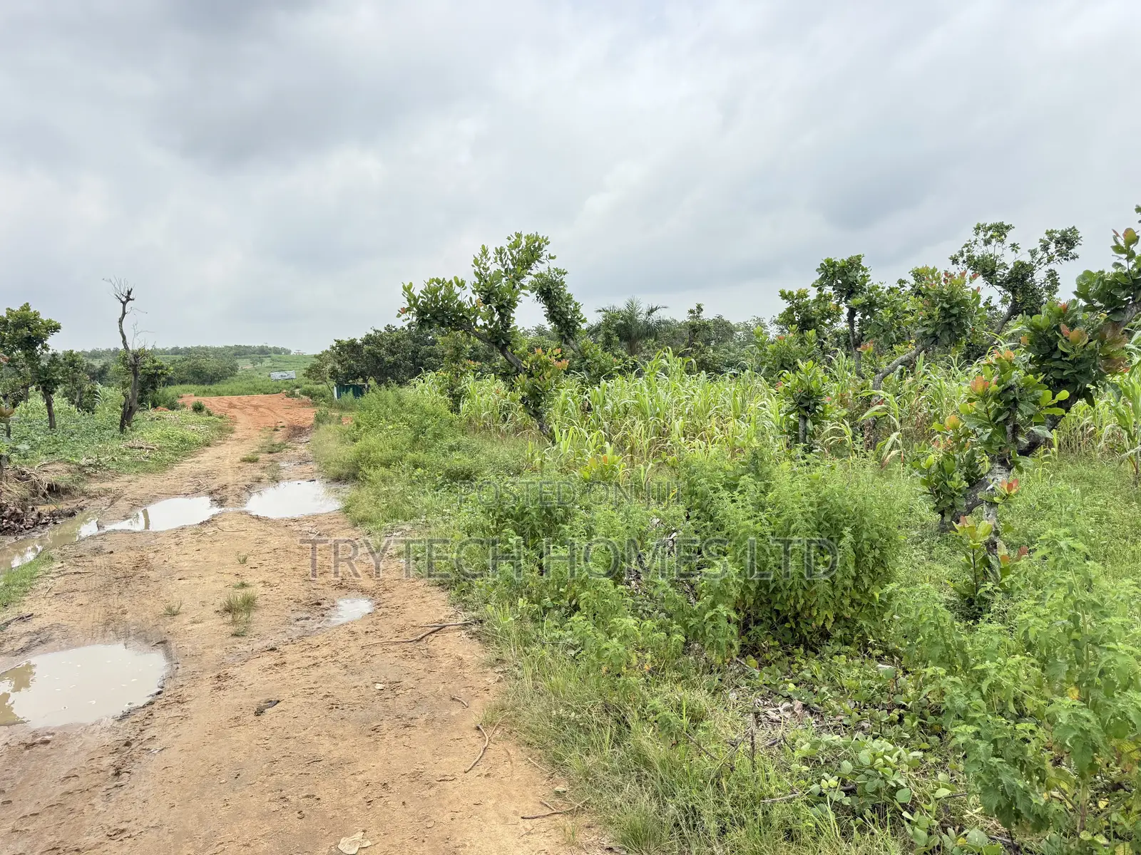 FCDA CofO Approval in Dape