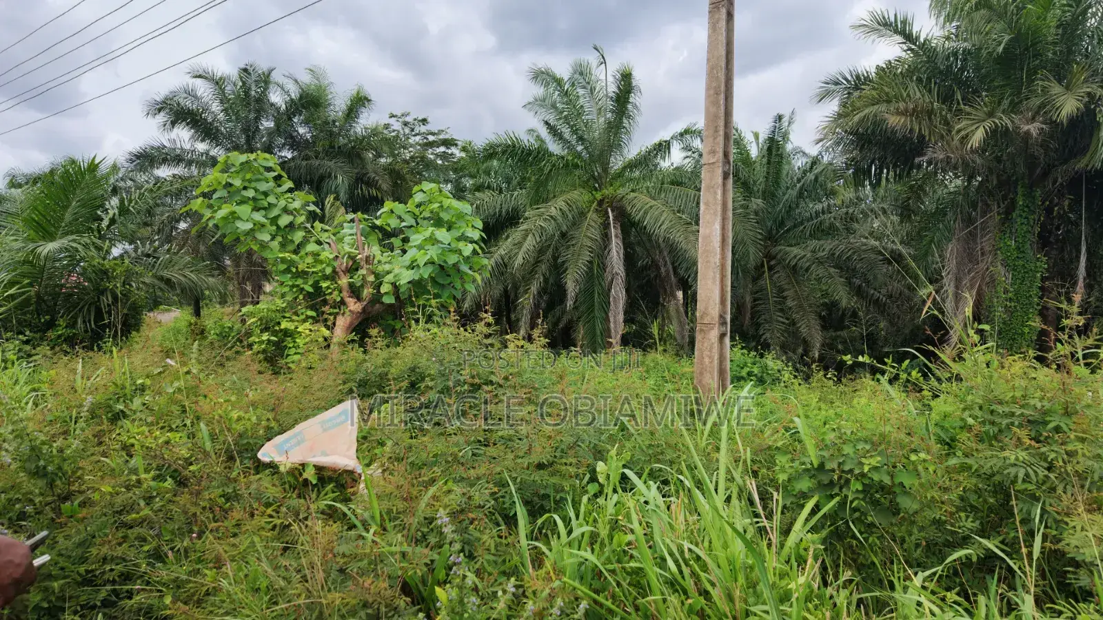 58 Plots of Land for Sale Umuahia Abia State in Umuahia