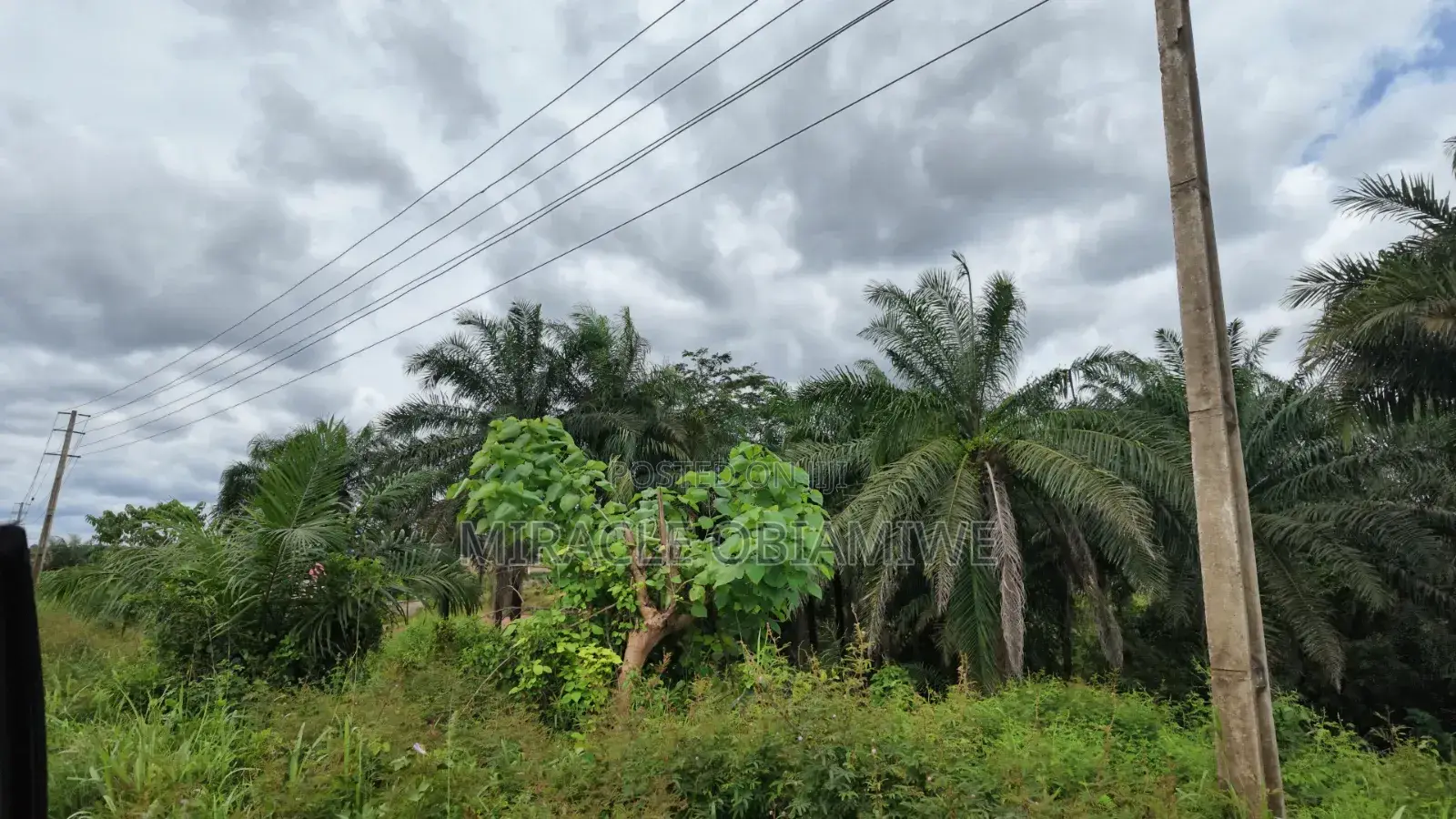 58 Plots of Land for Sale Umuahia Abia State in Umuahia