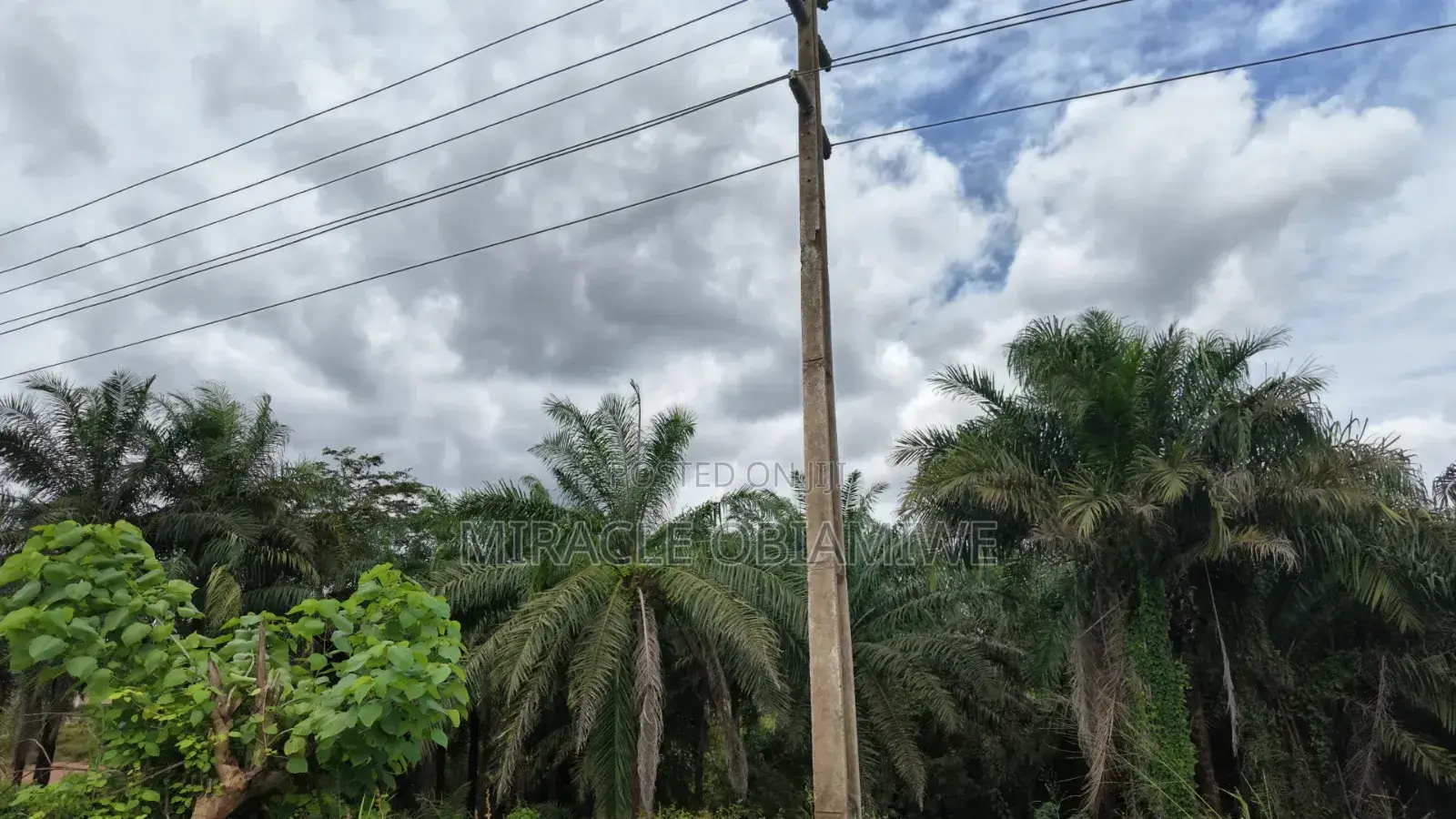 58 Plots of Land for Sale Umuahia Abia State in Umuahia