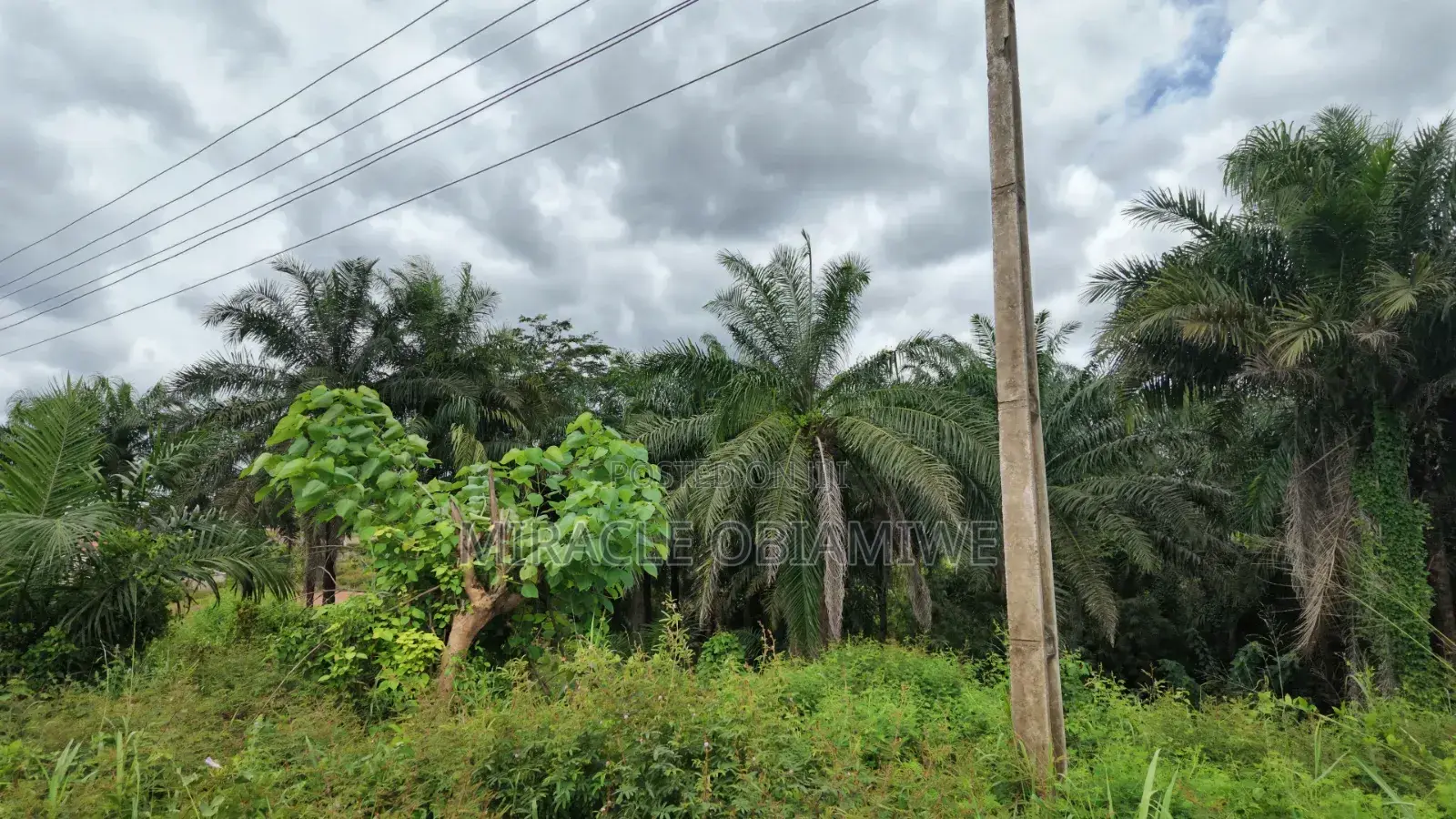 58 Plots of Land for Sale Umuahia Abia State in Umuahia