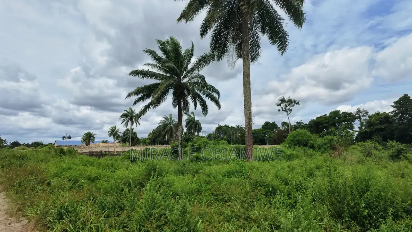 8 Plots of Land for Sale Umuahia Abia State in Umuahia