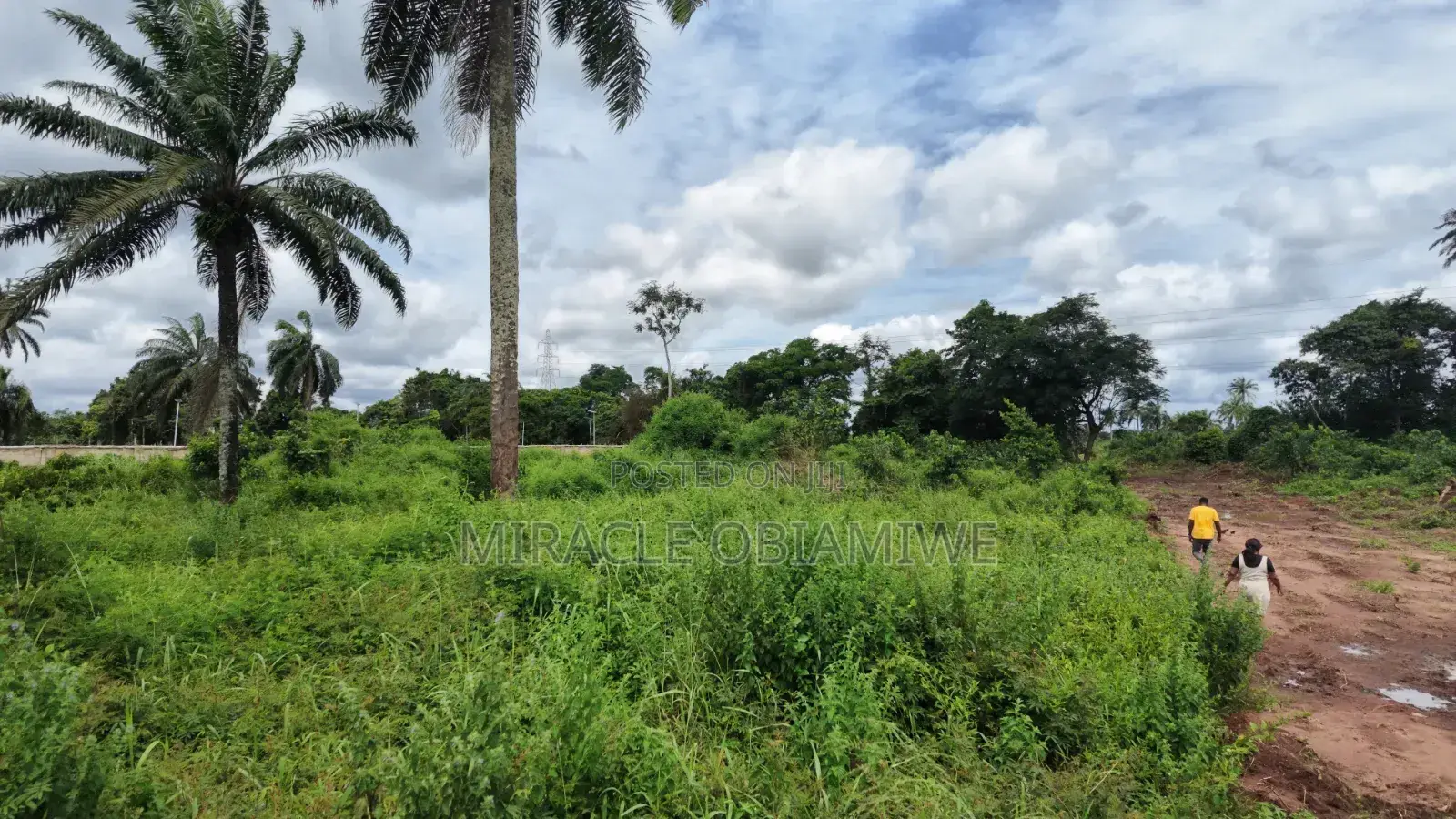 8 Plots of Land for Sale Umuahia Abia State in Umuahia