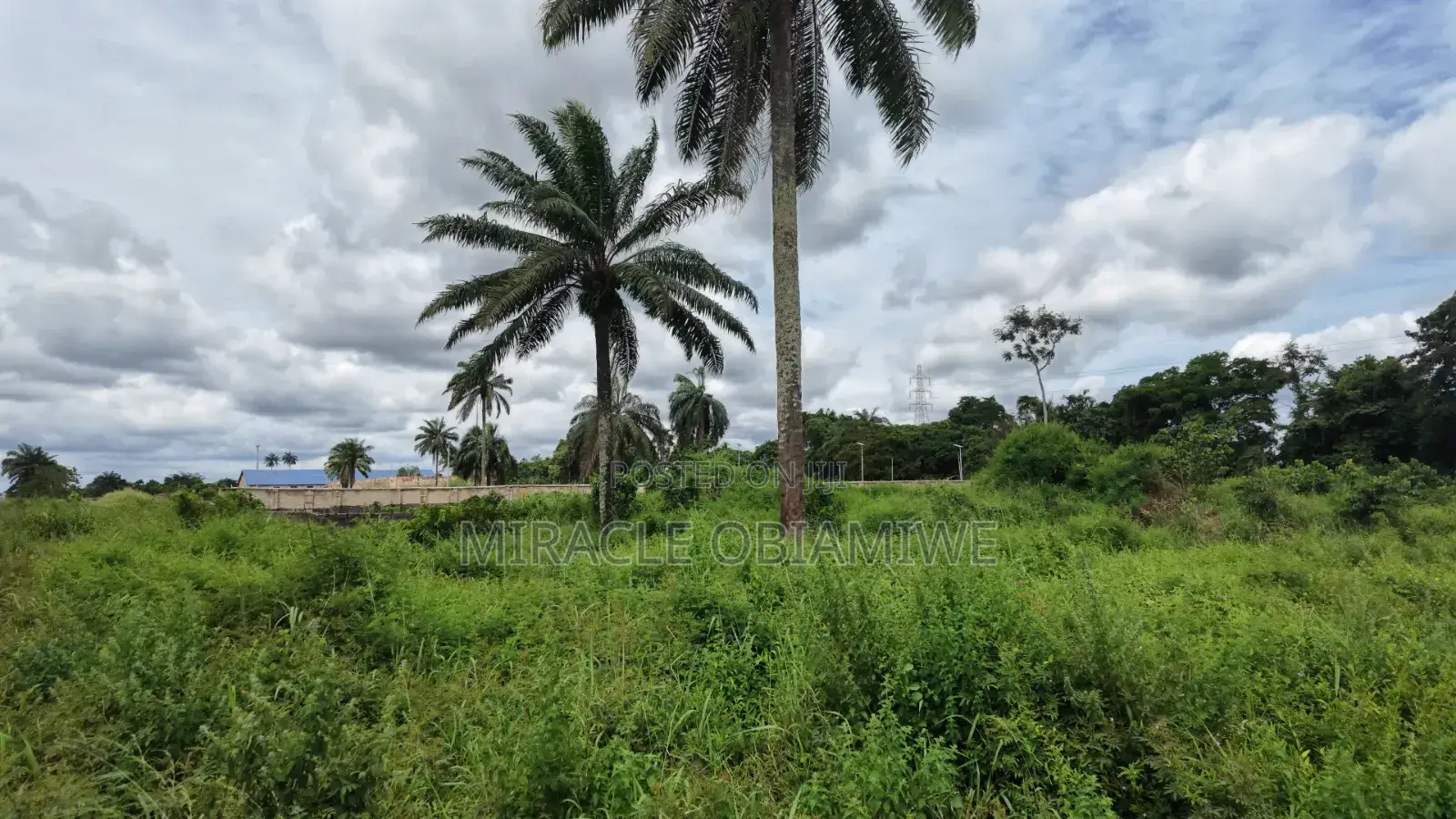 8 Plots of Land for Sale Umuahia Abia State in Umuahia