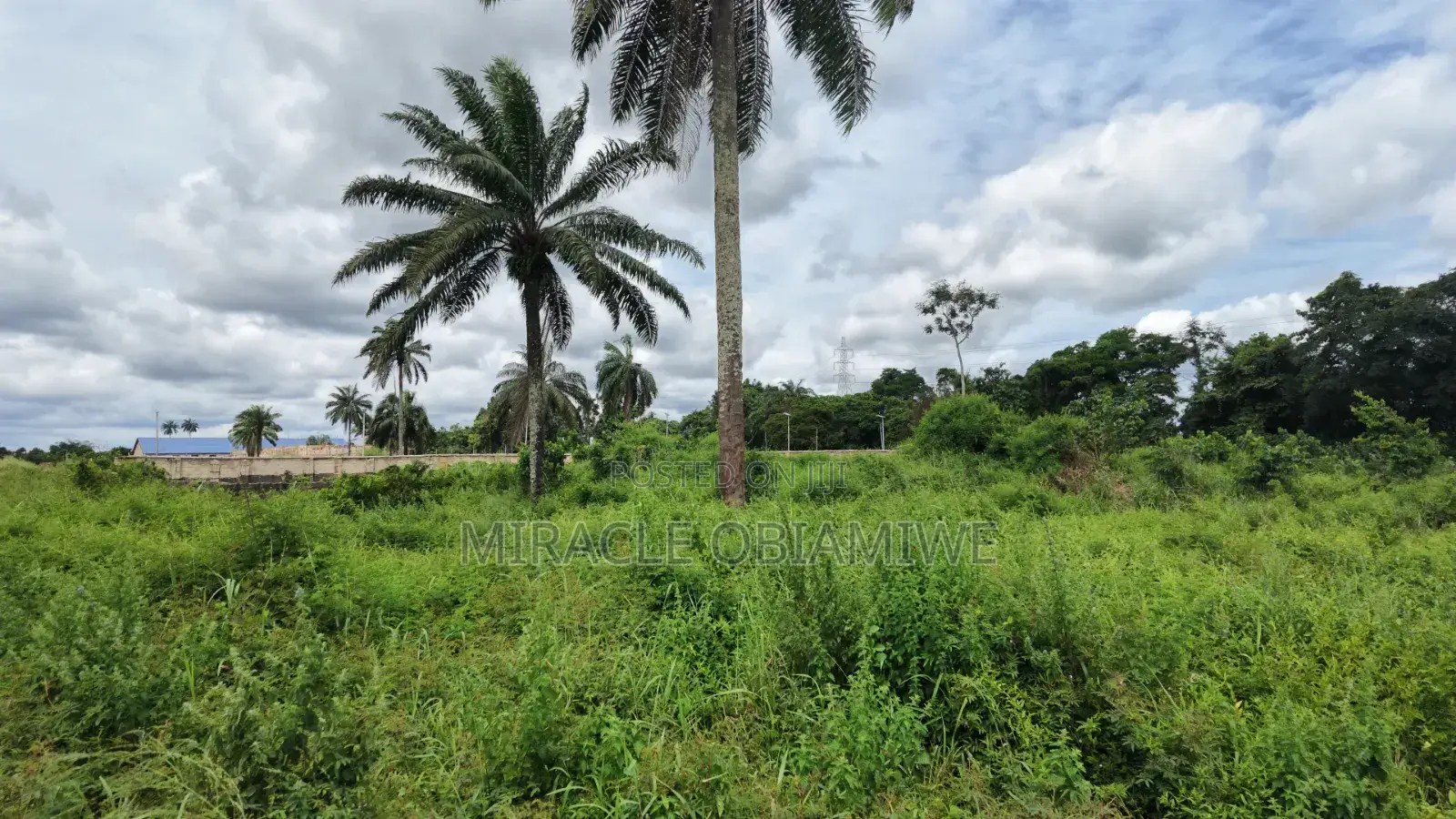 8 Plots of Land for Sale Umuahia Abia State in Umuahia