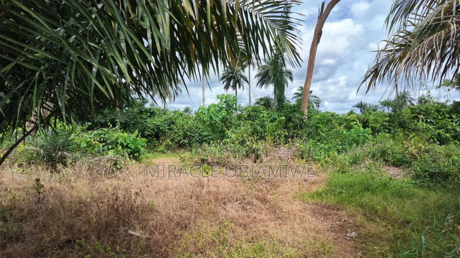 1 Plot of Land Available Umuahia Abia State in Umuahia