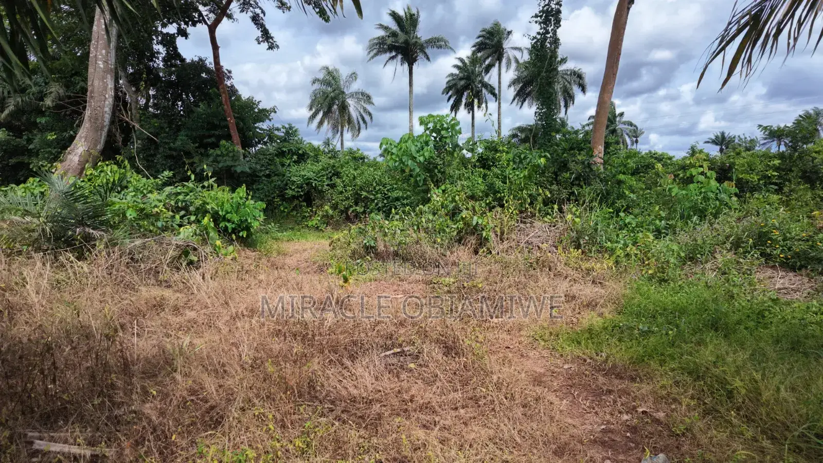 1 Plot of Land Available Umuahia Abia State in Umuahia