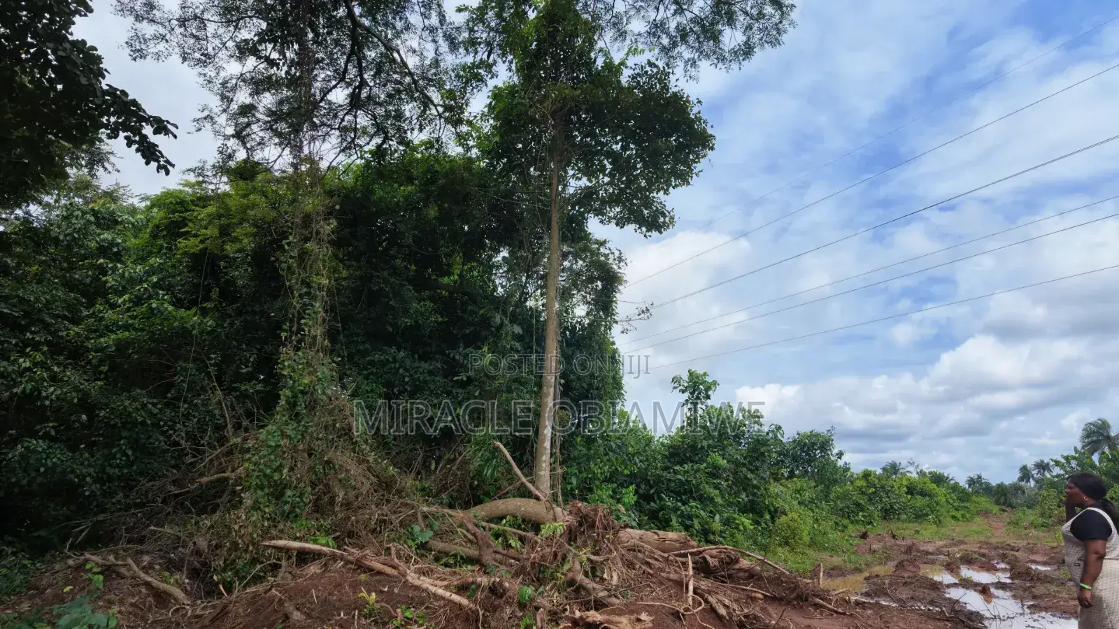 1 Plot of Land Available Umuahia Abia State in Umuahia