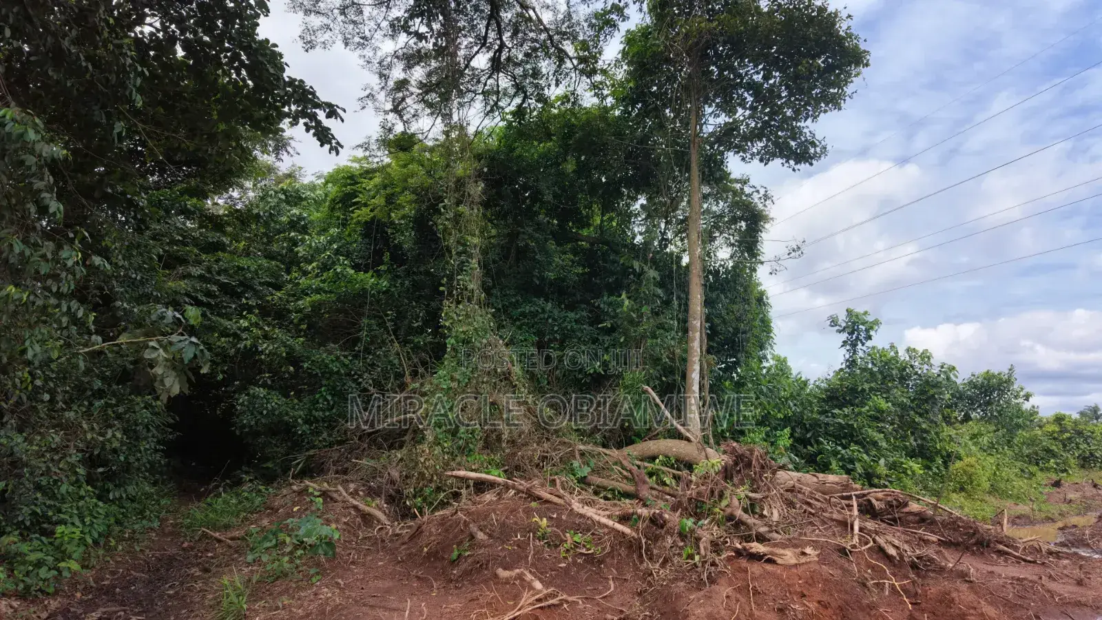 1 Plot of Land Available Umuahia Abia State in Umuahia