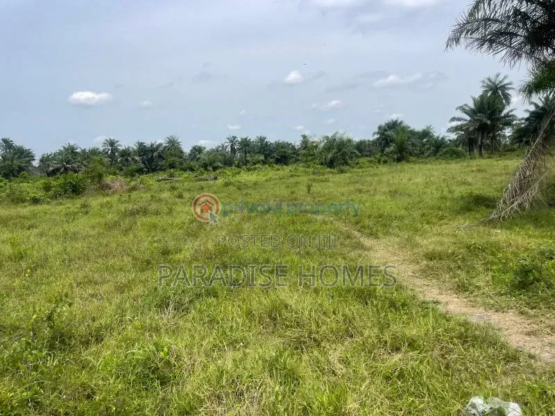10 Plots of Land at Shell Igwurita PH for Sale in Shell Location