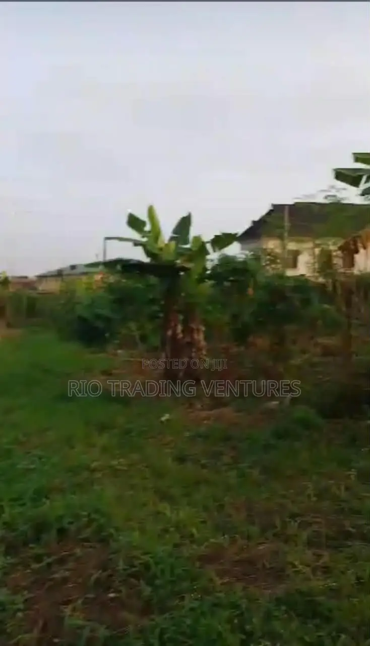 4 Plots of Fenced Land for Sale in Akute Road –Behind Zenith Bank in Ifo
