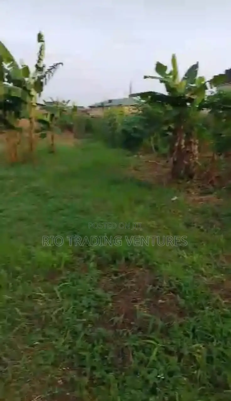 4 Plots of Fenced Land for Sale in Akute Road –Behind Zenith Bank in Ifo