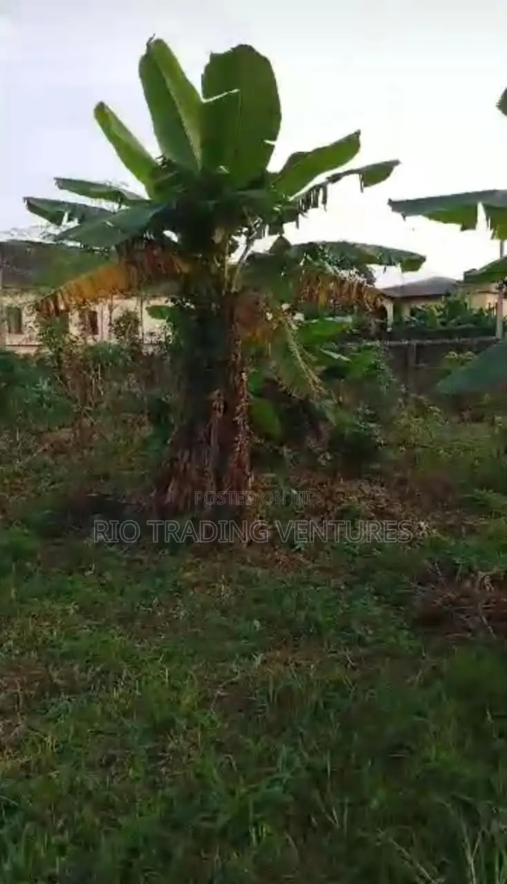 4 Plots of Fenced Land for Sale in Akute Road –Behind Zenith Bank in Ifo
