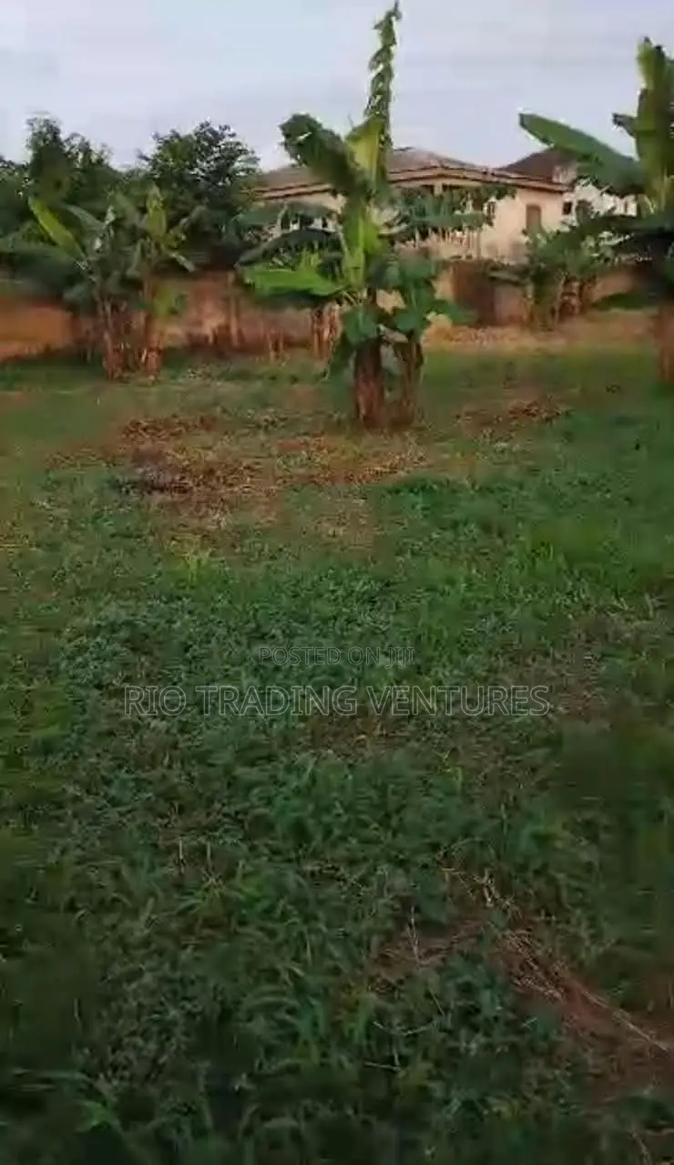 4 Plots of Fenced Land for Sale in Akute Road –Behind Zenith Bank in Ifo