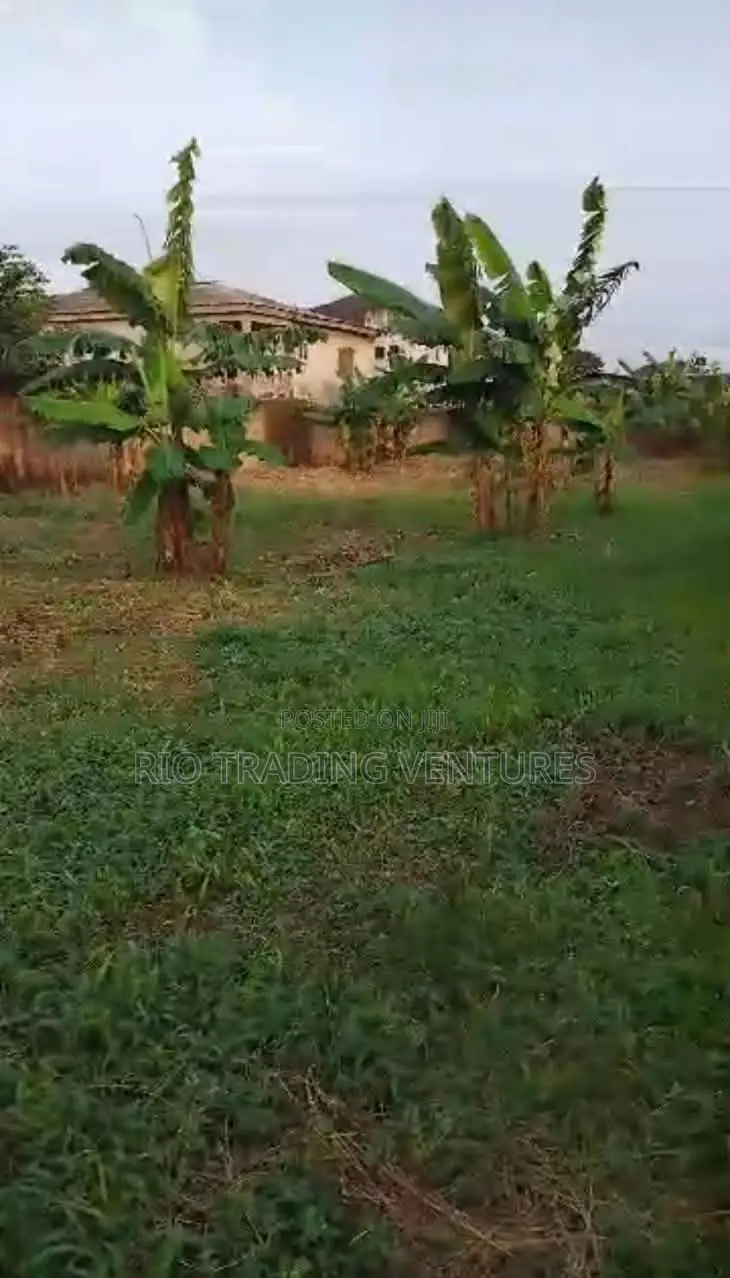 4 Plots of Fenced Land for Sale in Akute Road –Behind Zenith Bank in Ifo