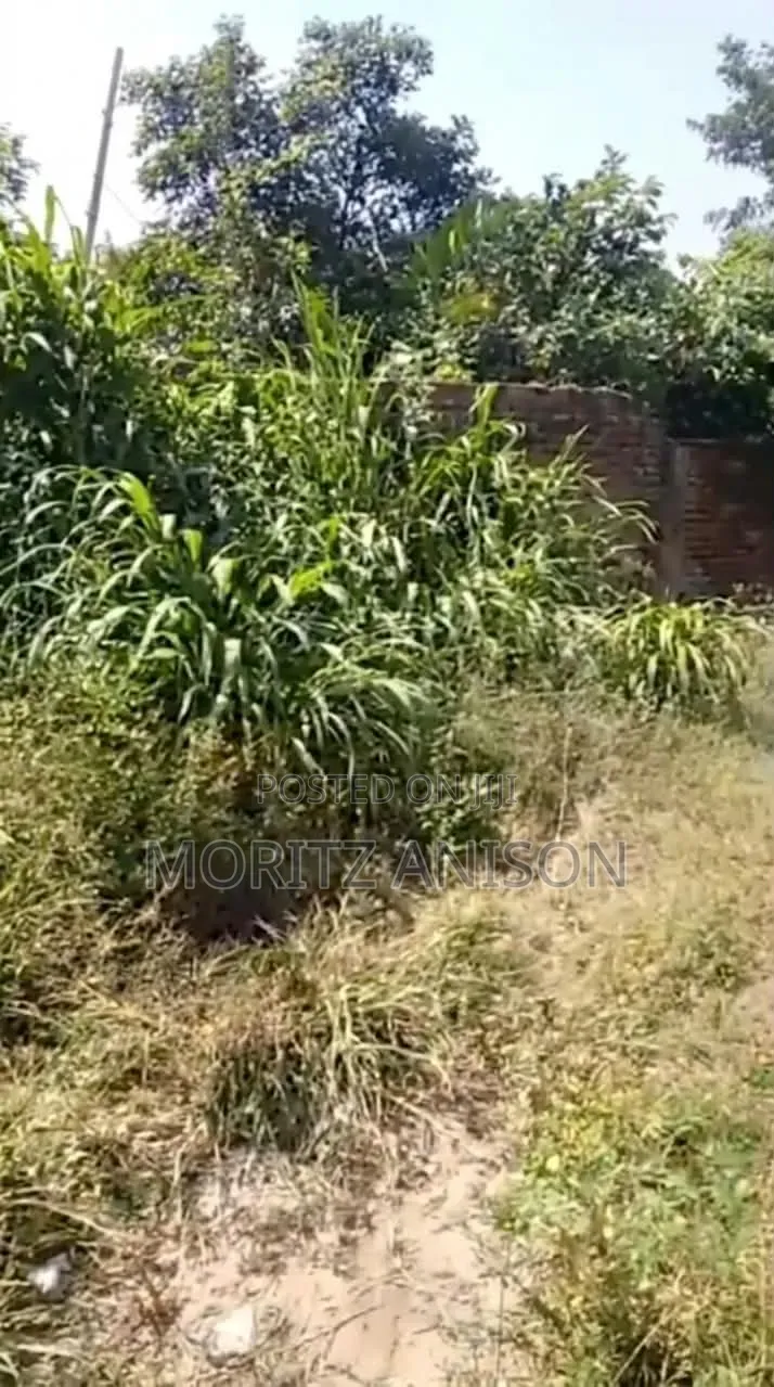 4 Plots of Land in Enugu