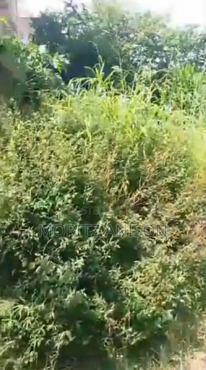 4 Plots of Land in Enugu