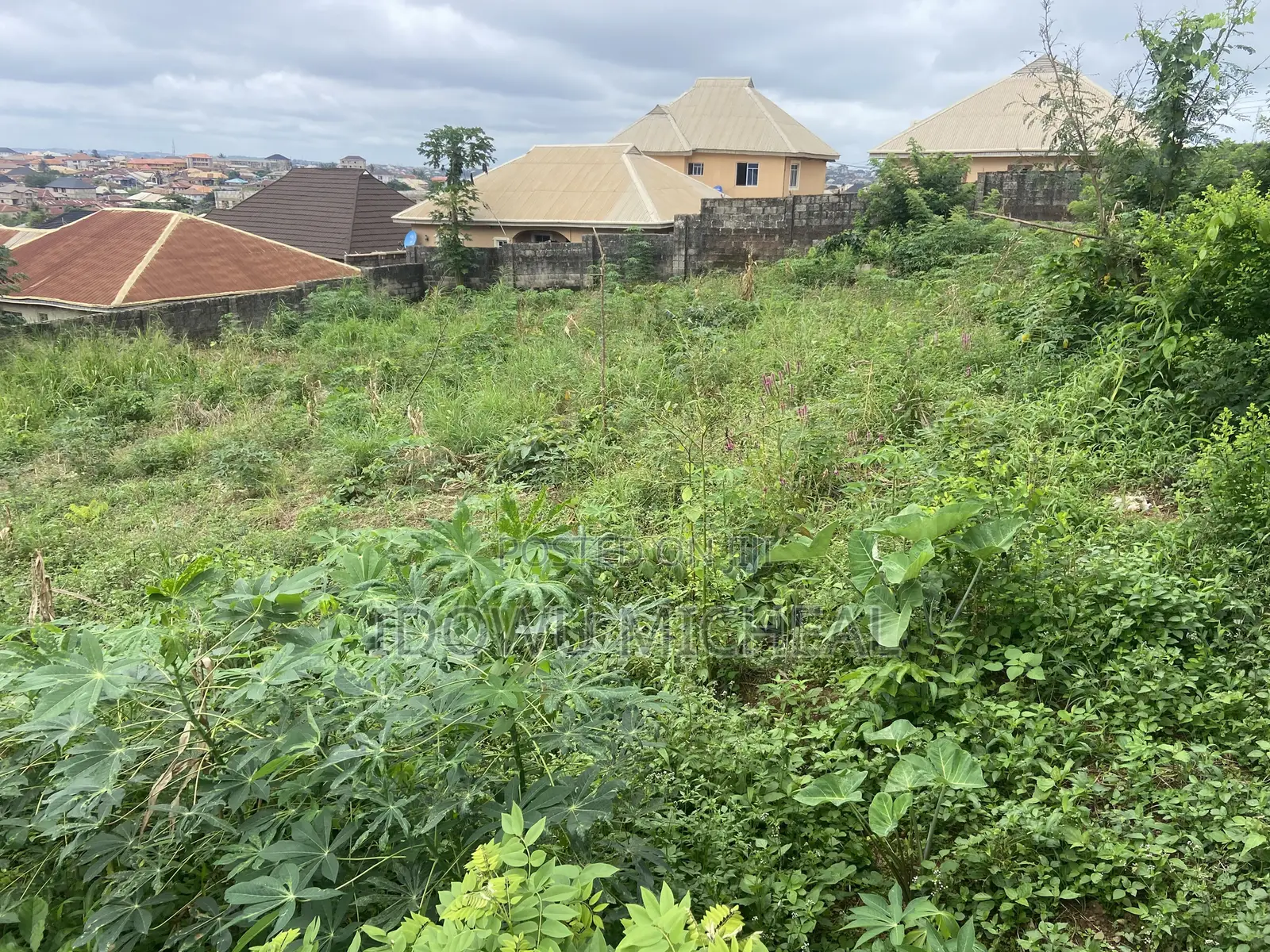 Land for Sale With a Registered Survey Document in Ido