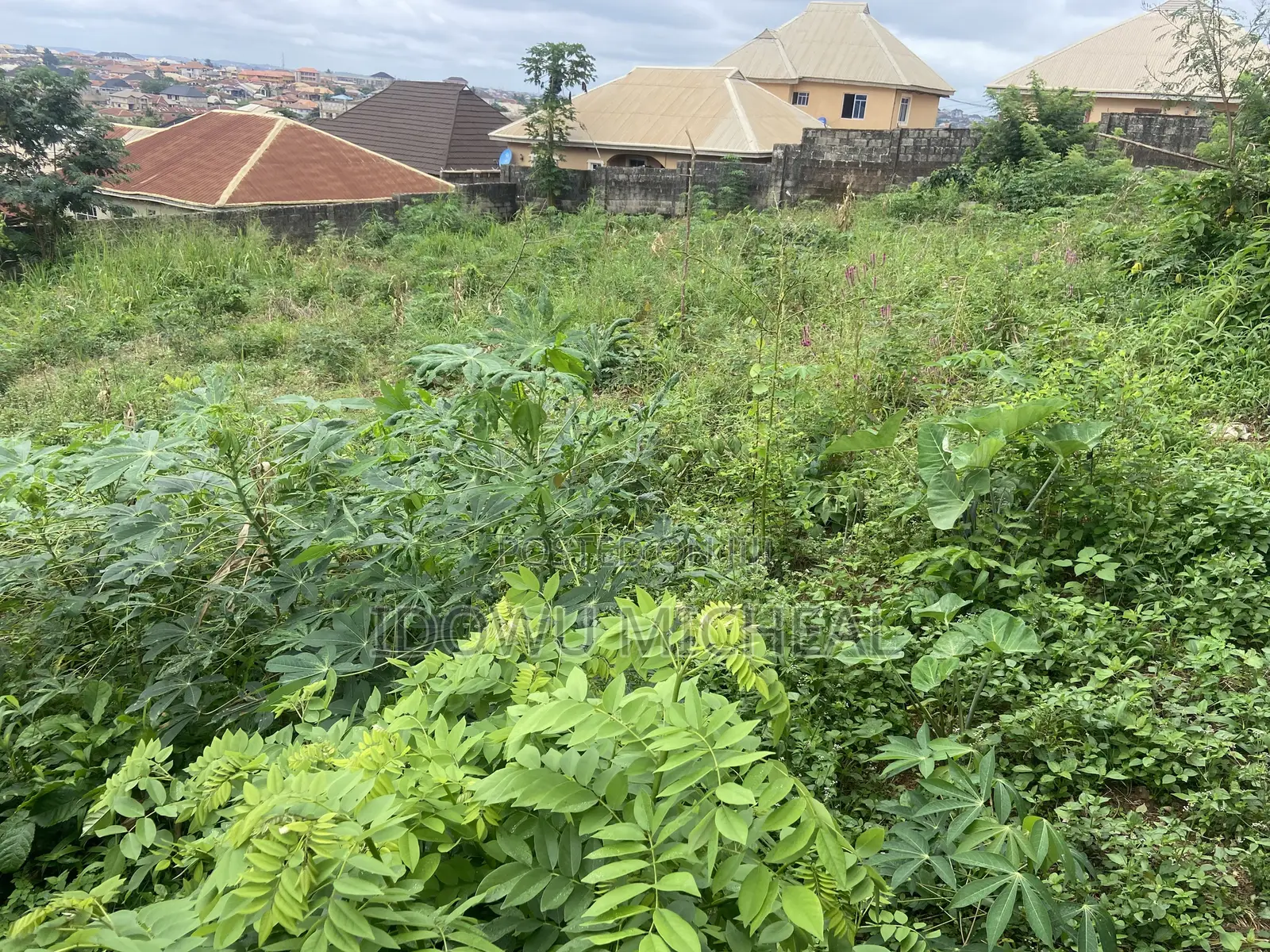 Land for Sale With a Registered Survey Document in Ido