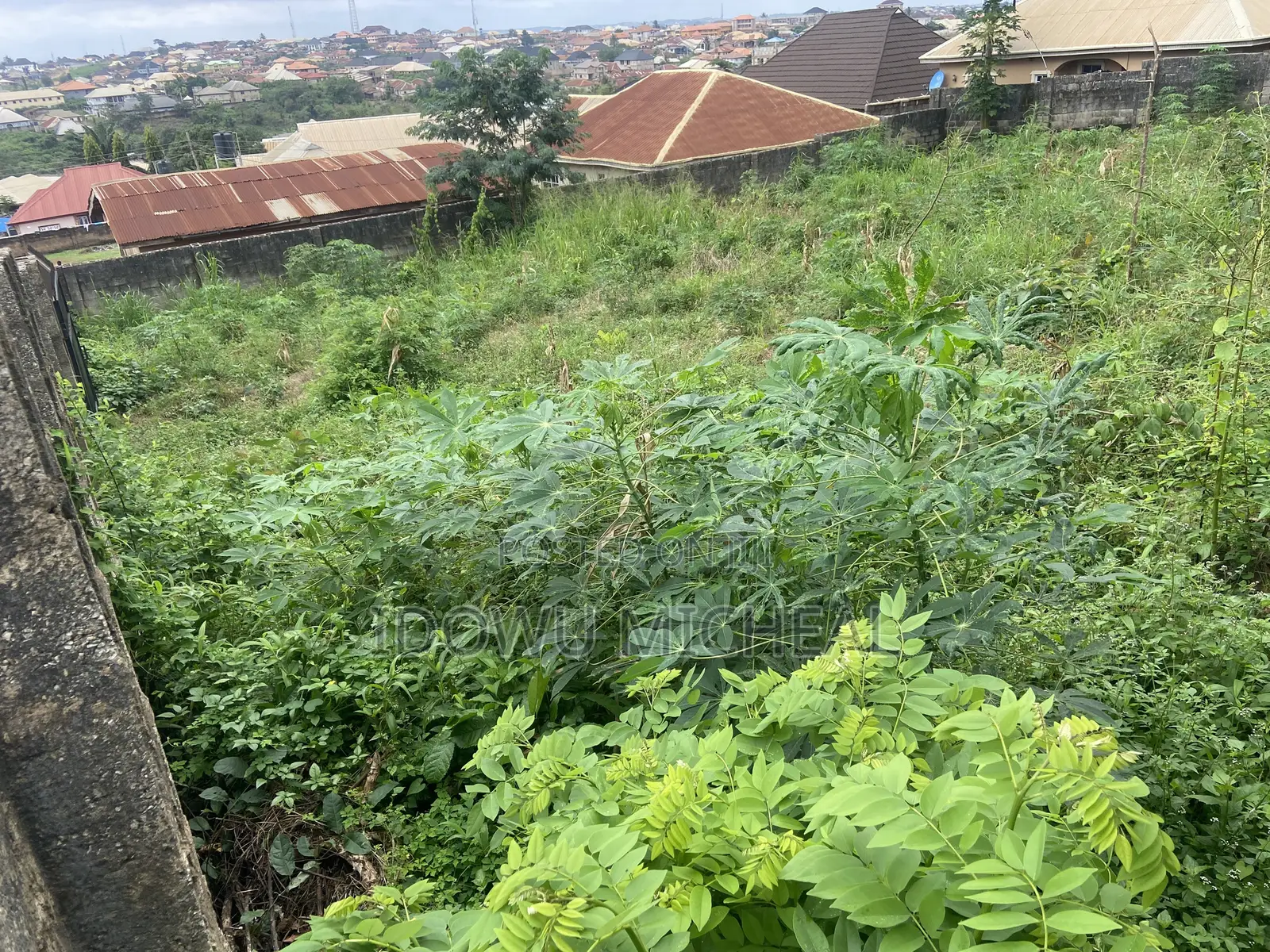 Land for Sale With a Registered Survey Document in Ido