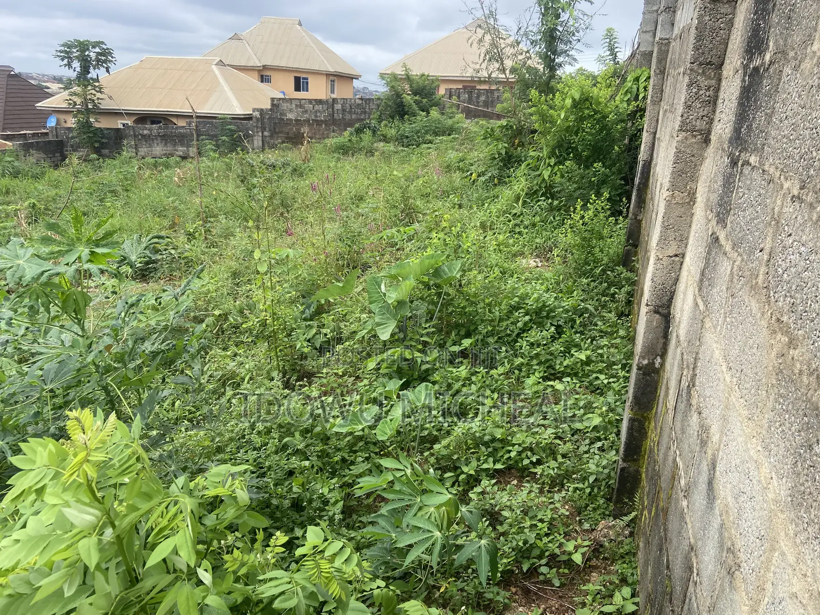 Land for Sale With a Registered Survey Document in Ido