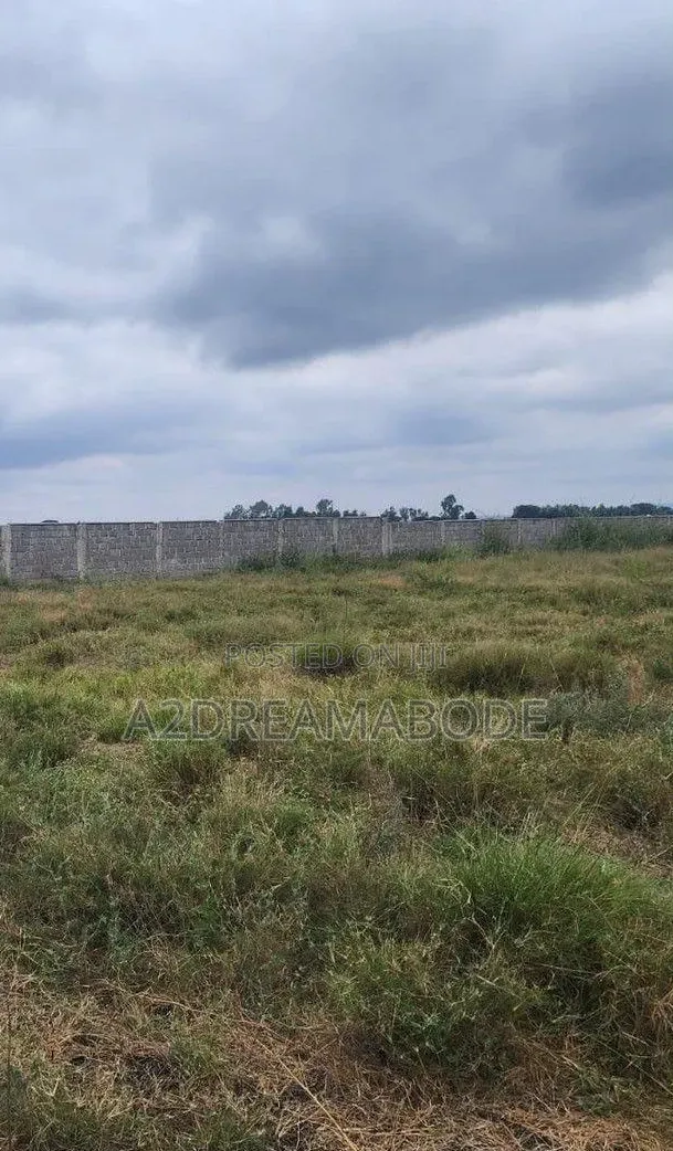 Nicely Situated Estate Land in Orange Island
