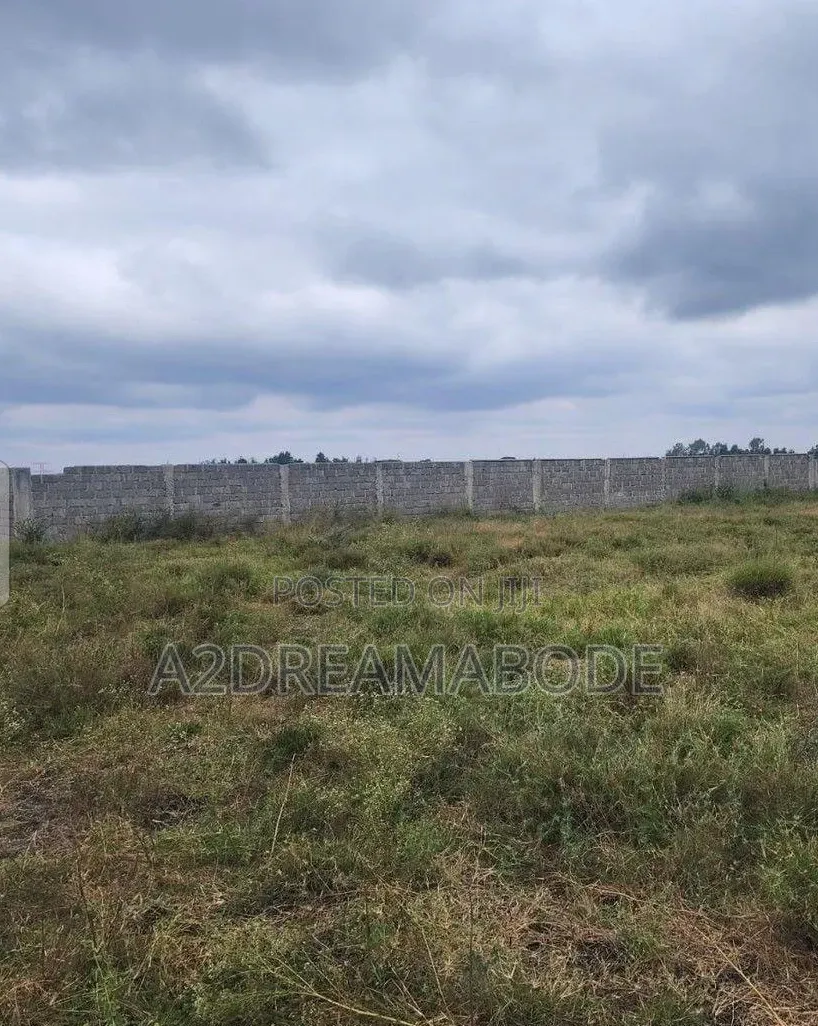 Nicely Situated Estate Land in Orange Island