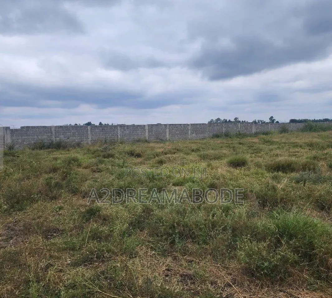 Nicely Situated Estate Land in Orange Island