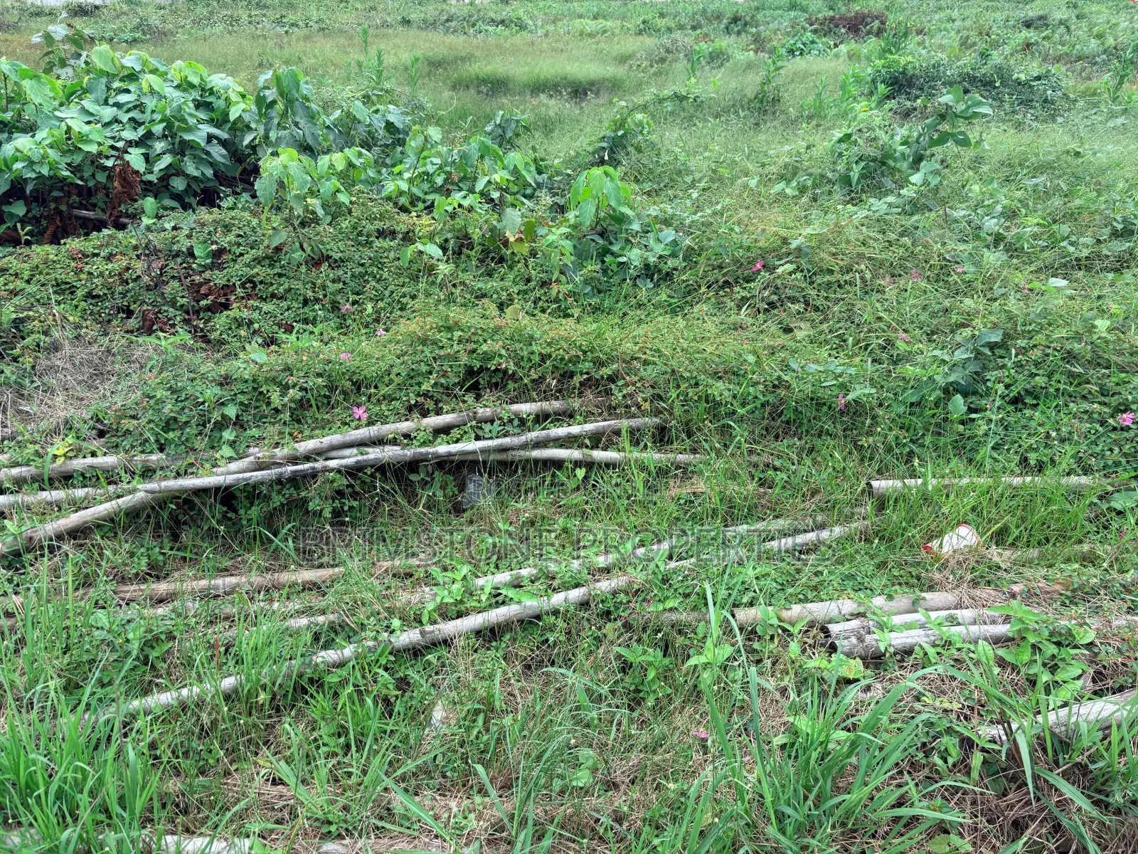825 SQM Waterfront Land in Banana Island