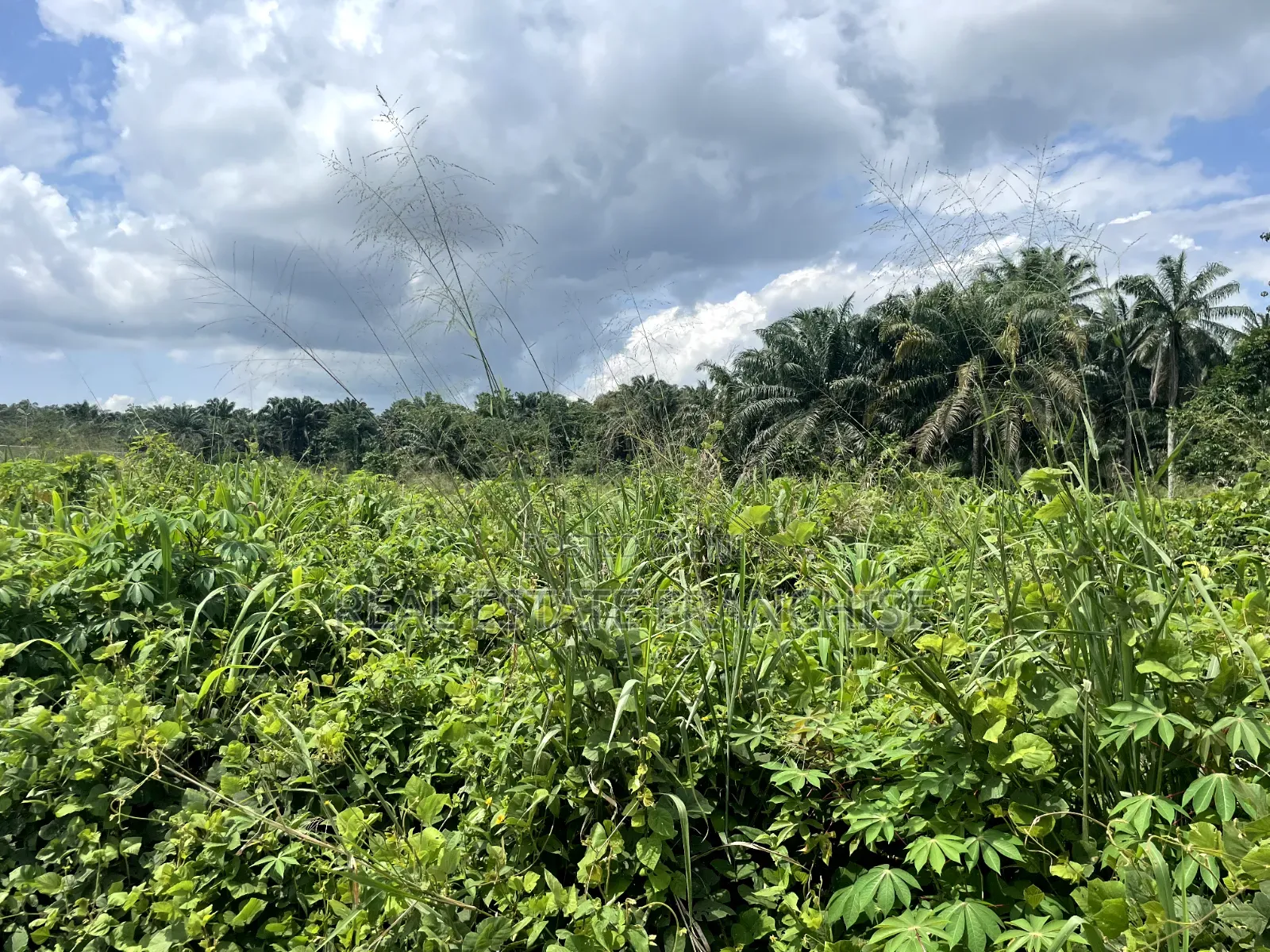1 Hectare of Land, in a Strategic Location in Uyo